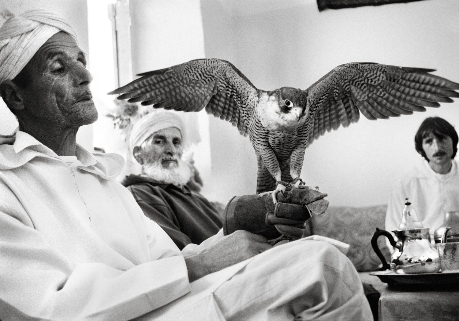 013_005_CBW_Morocco falconer.jpg