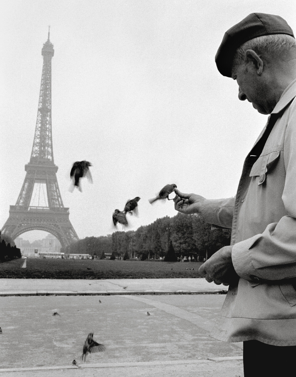 018_010_CBW_MAN BIRD PARIS EIFFEL BLED.jpg