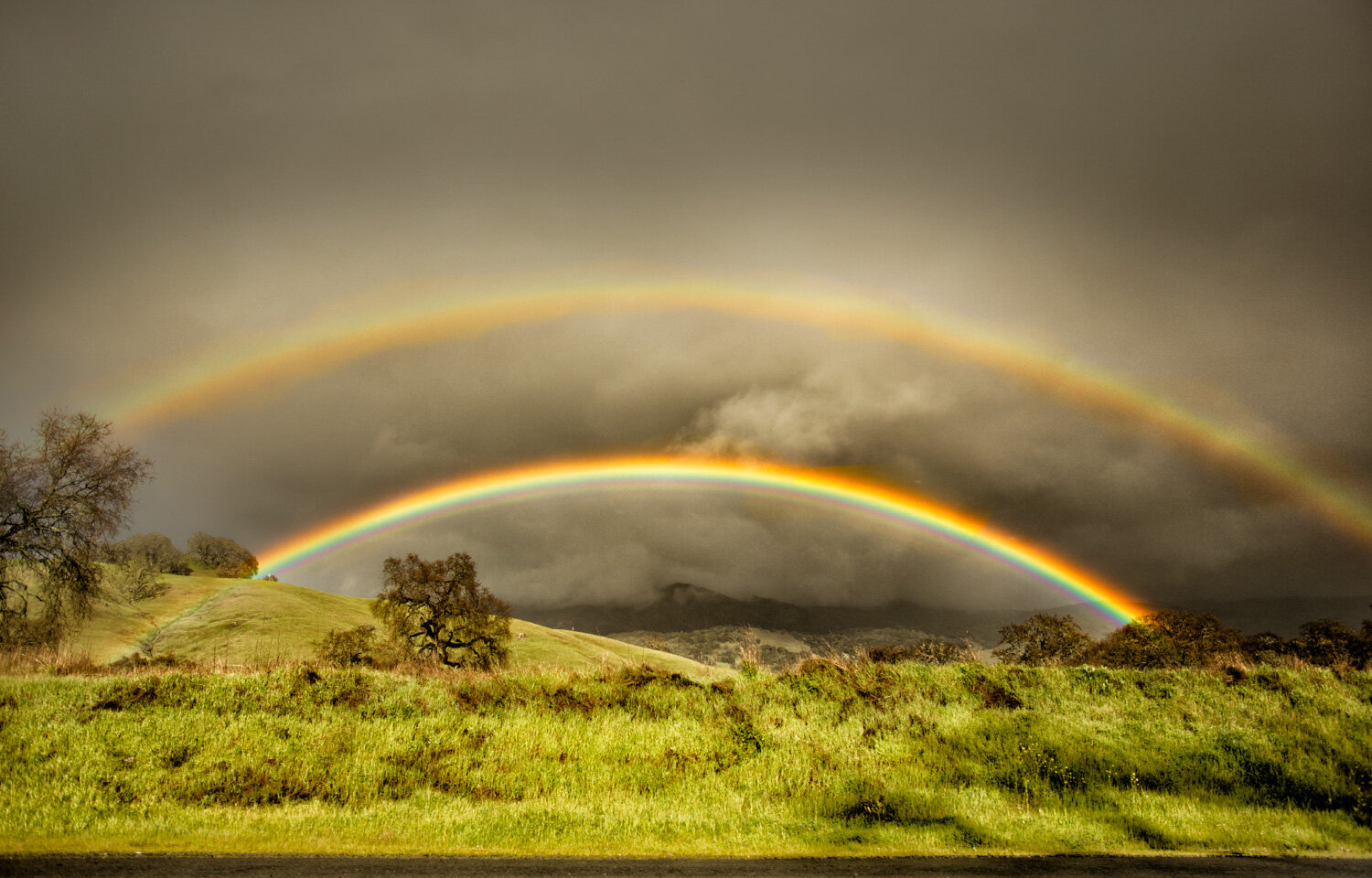 003_St. Helena_Vineyards and Rainbows_PRodger-6571a.jpg