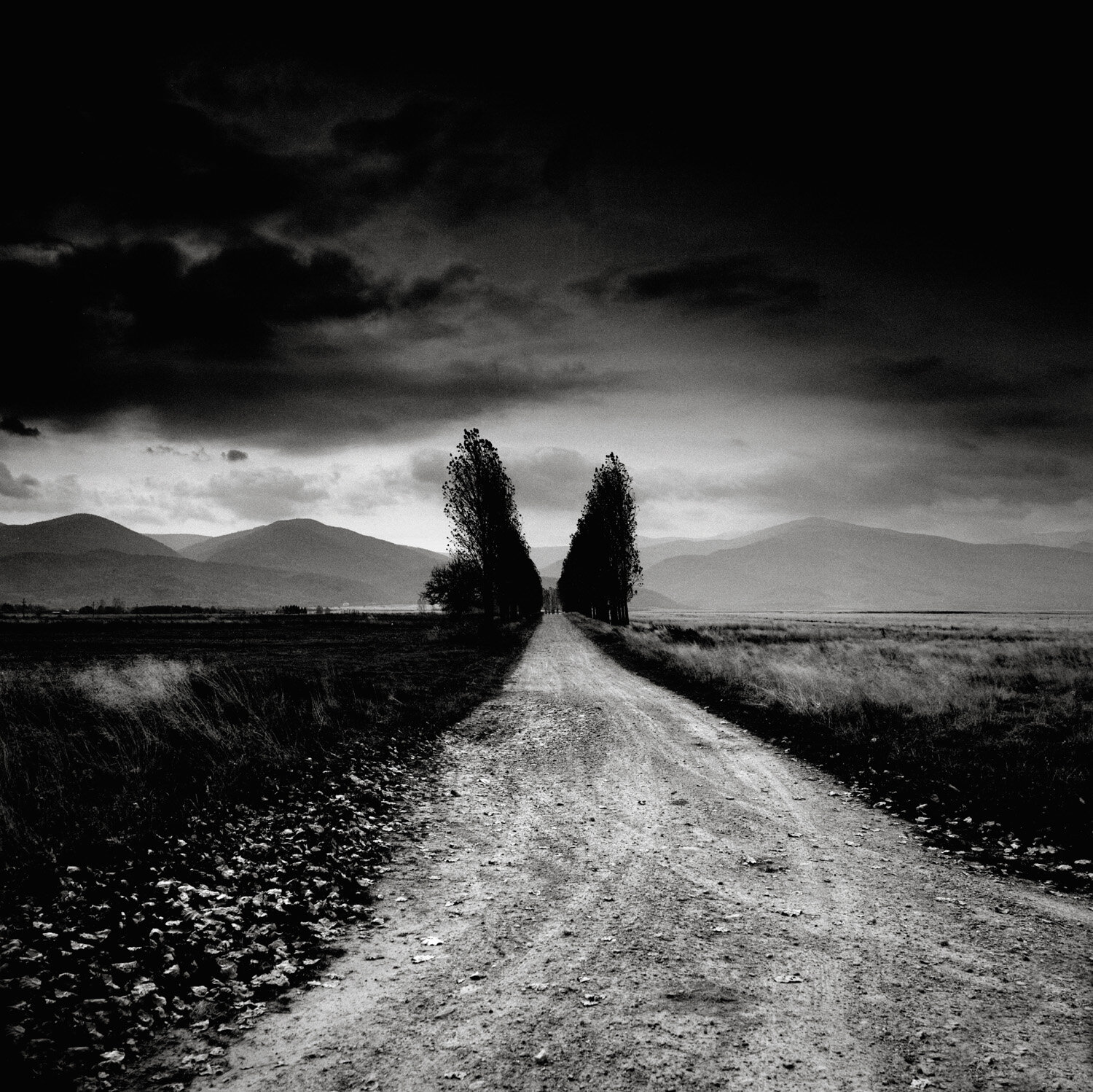 018_001_013_Land_HCB B-W NEW.jpg