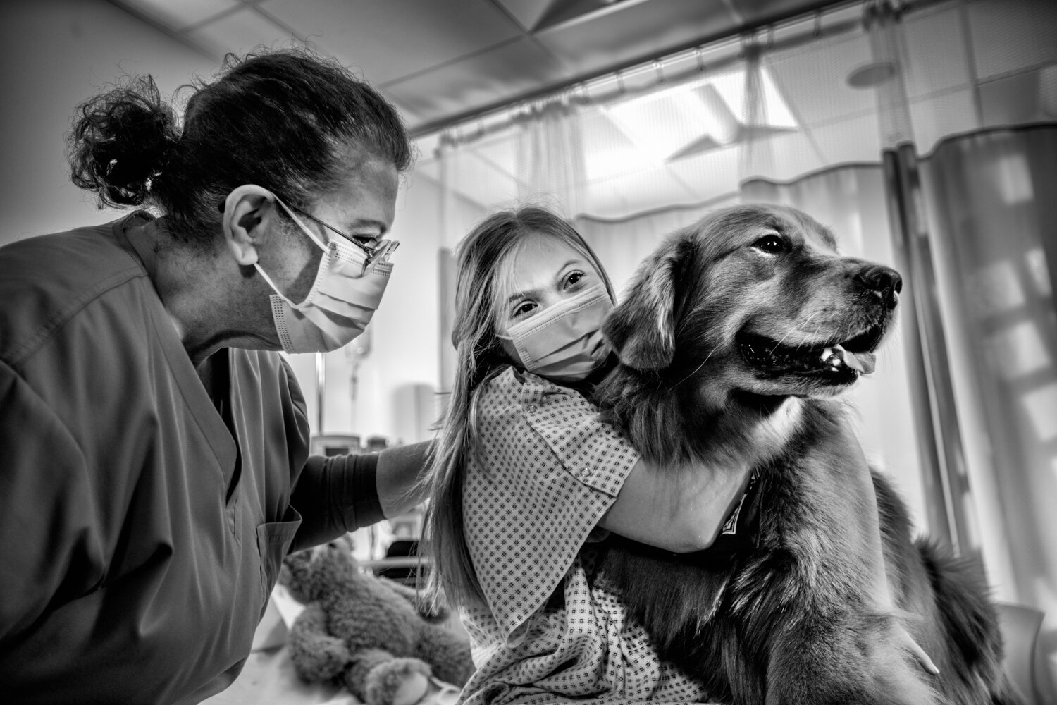 HCA3_DOG_0035-Edit.jpg
