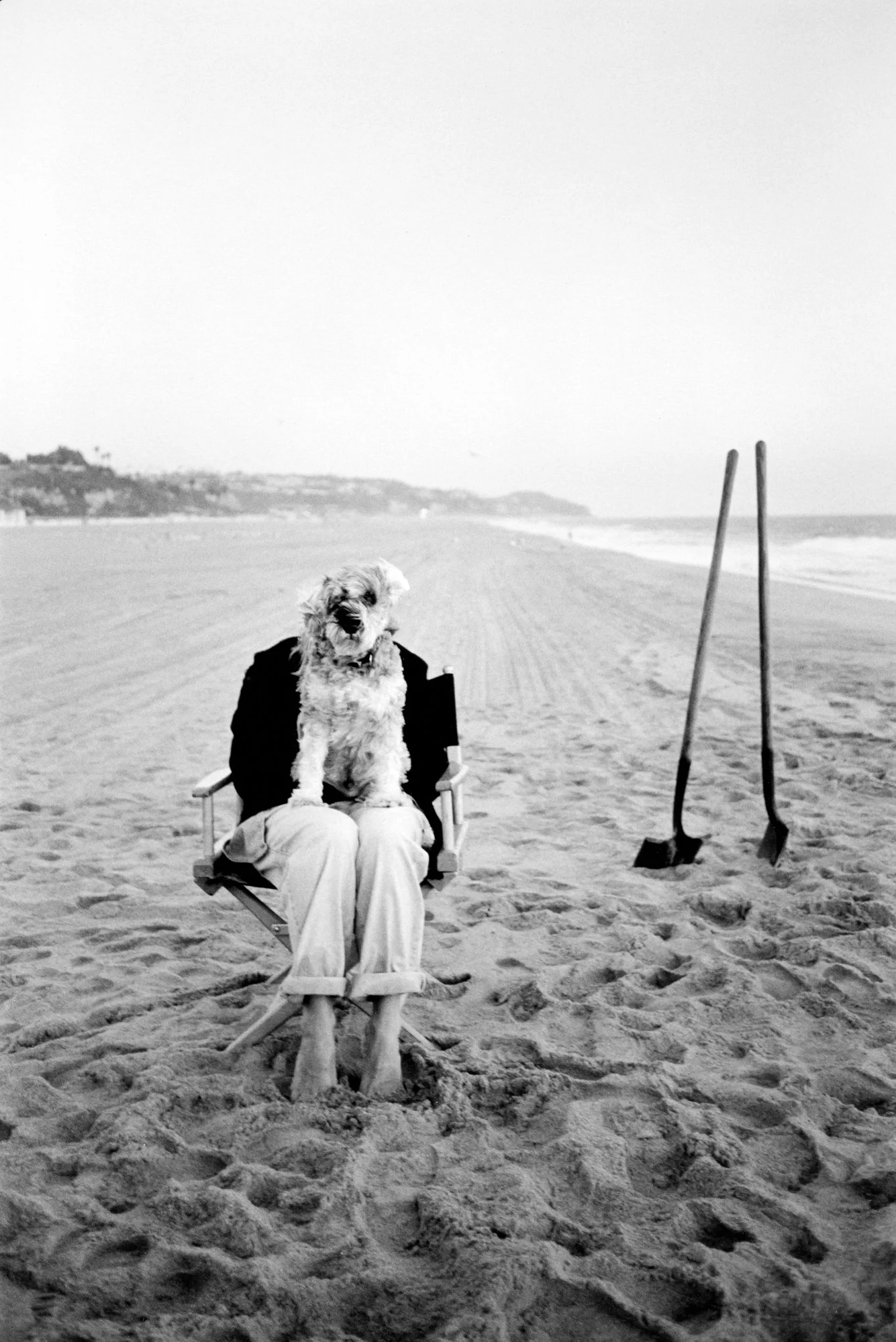 Roder Photography Peter Rodger Photography