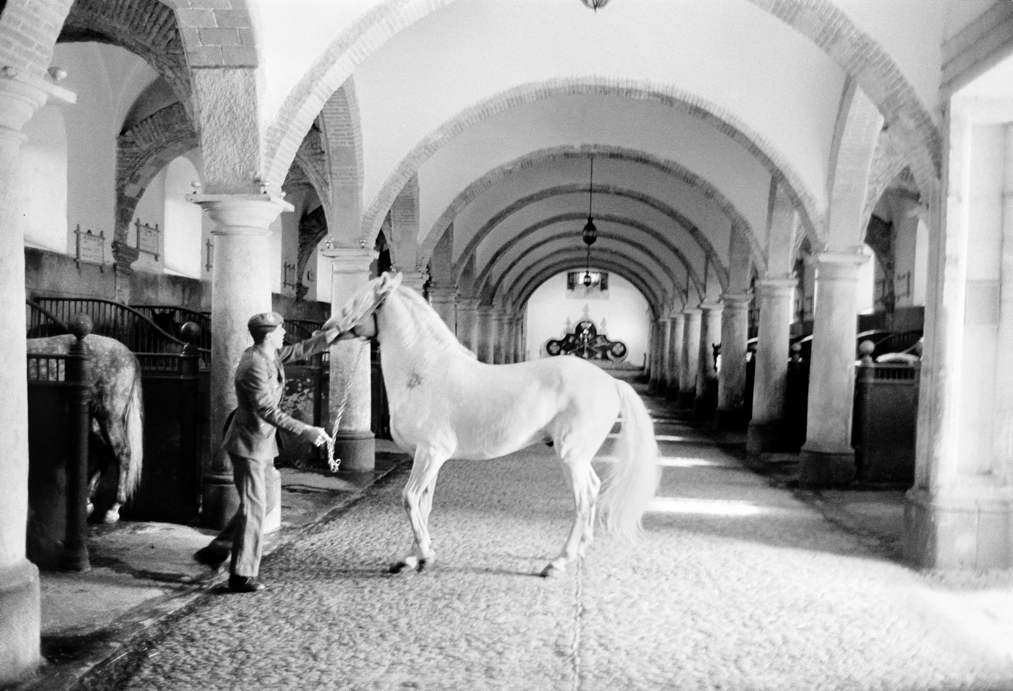 SPAIN STABLE CORDOBA 1.jpg