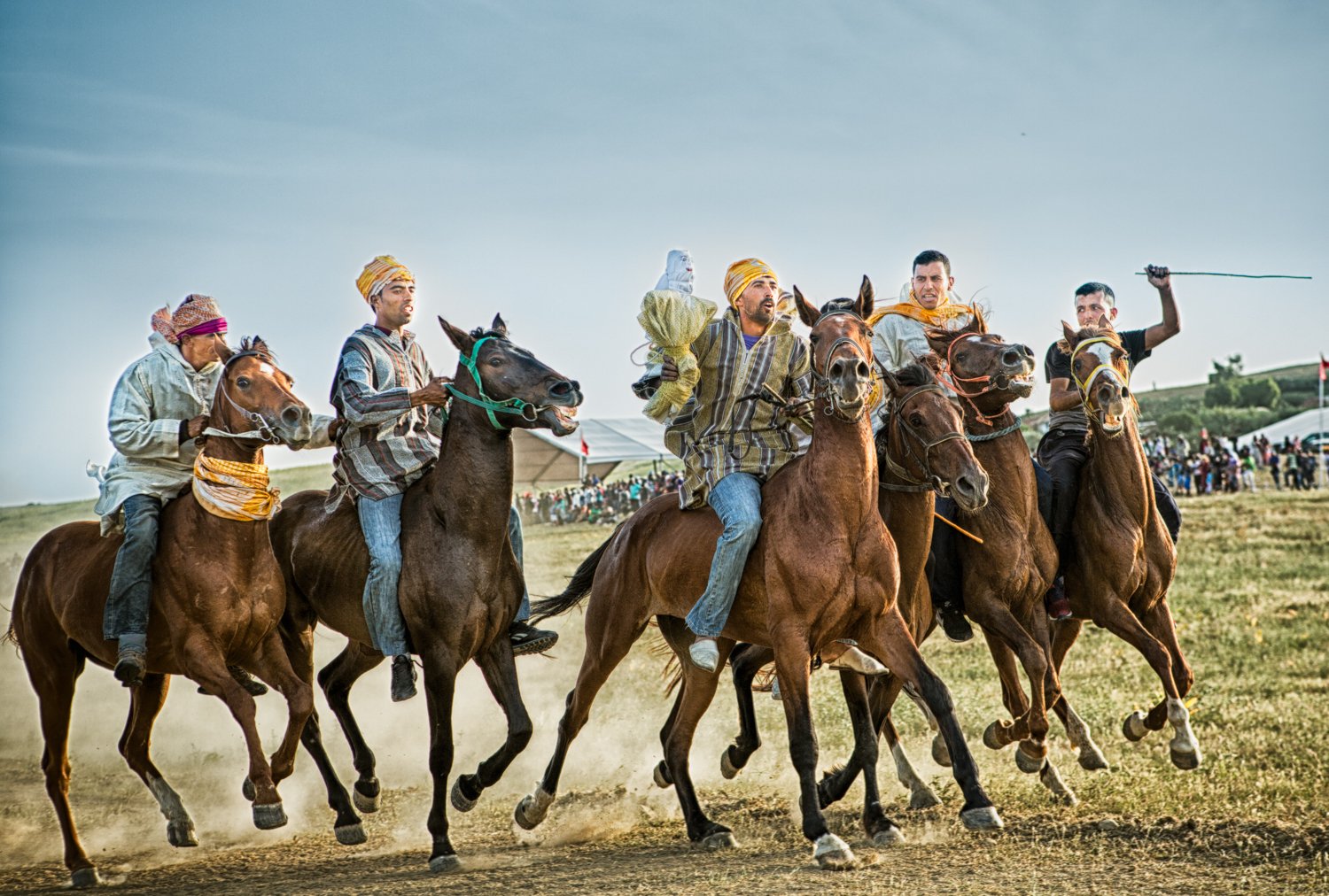 CCAM2231-Edit.jpg