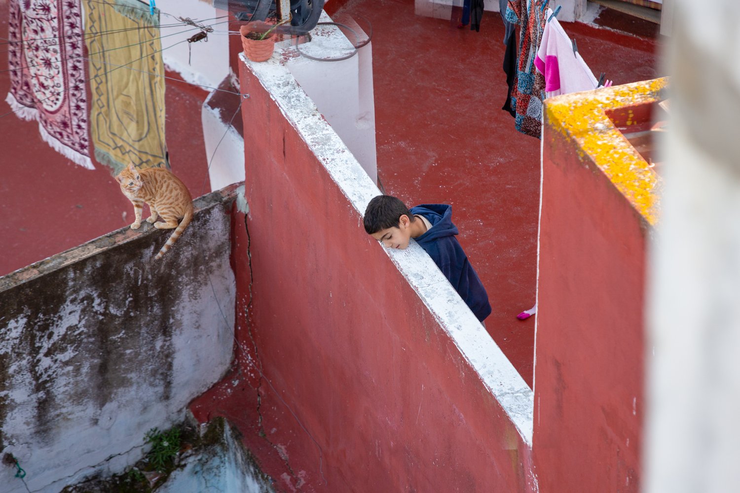 CCAM7908-Edit.jpg