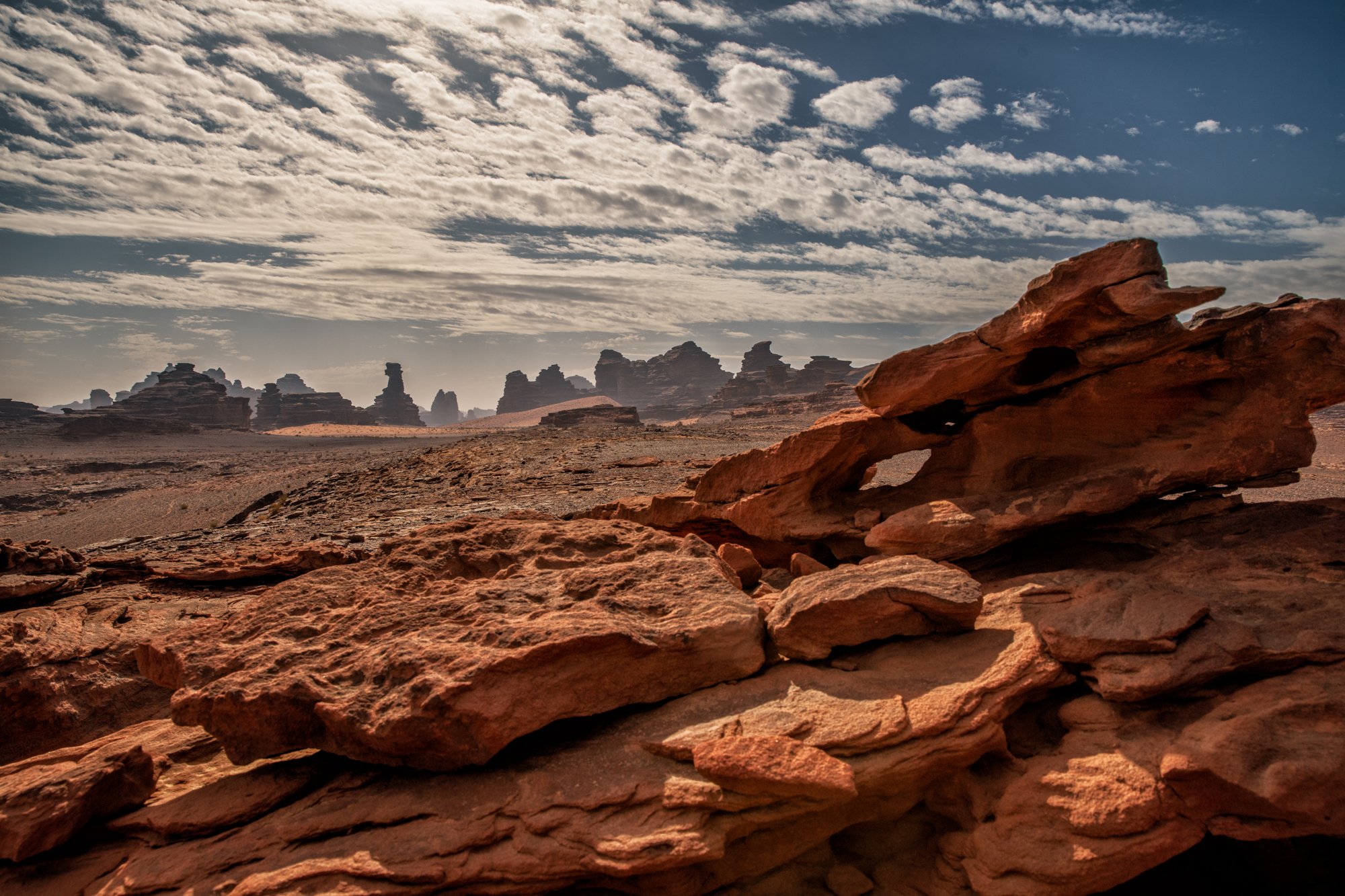 DSC08816-Edit.jpg