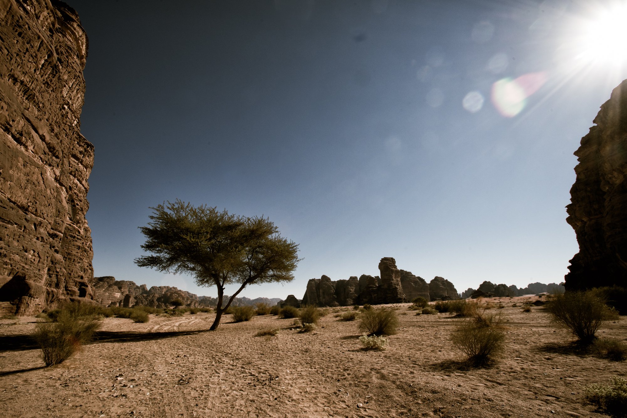 DSC06520-Edit.jpg