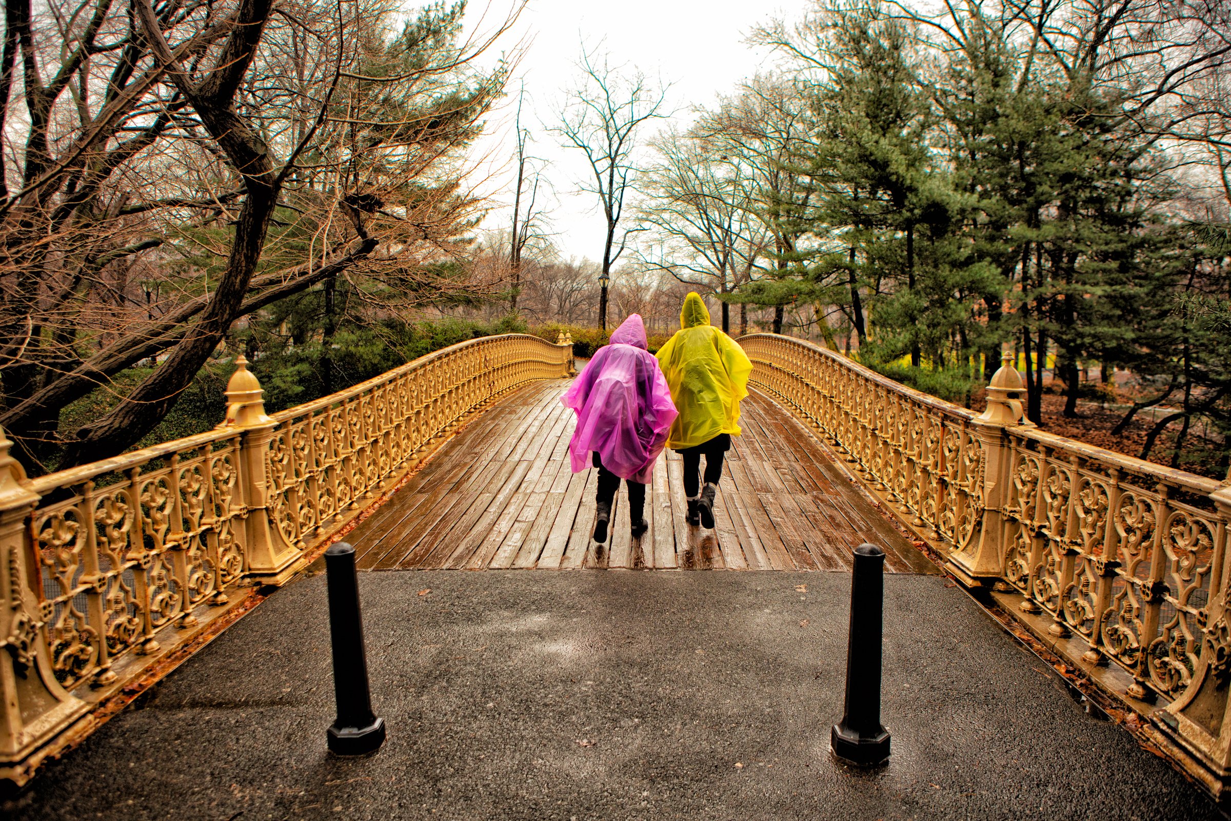CCAM5090-Edit.jpg