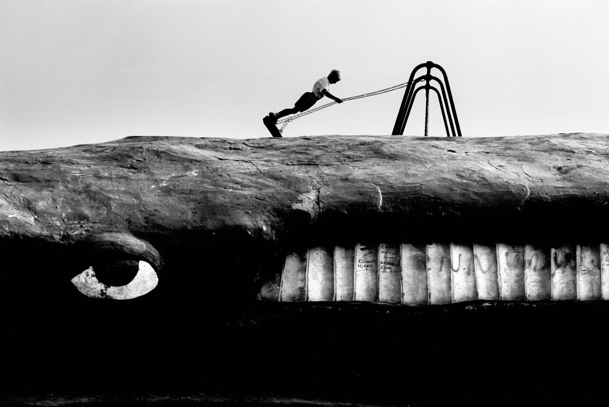 WHALE+IN+WHALES.jpeg