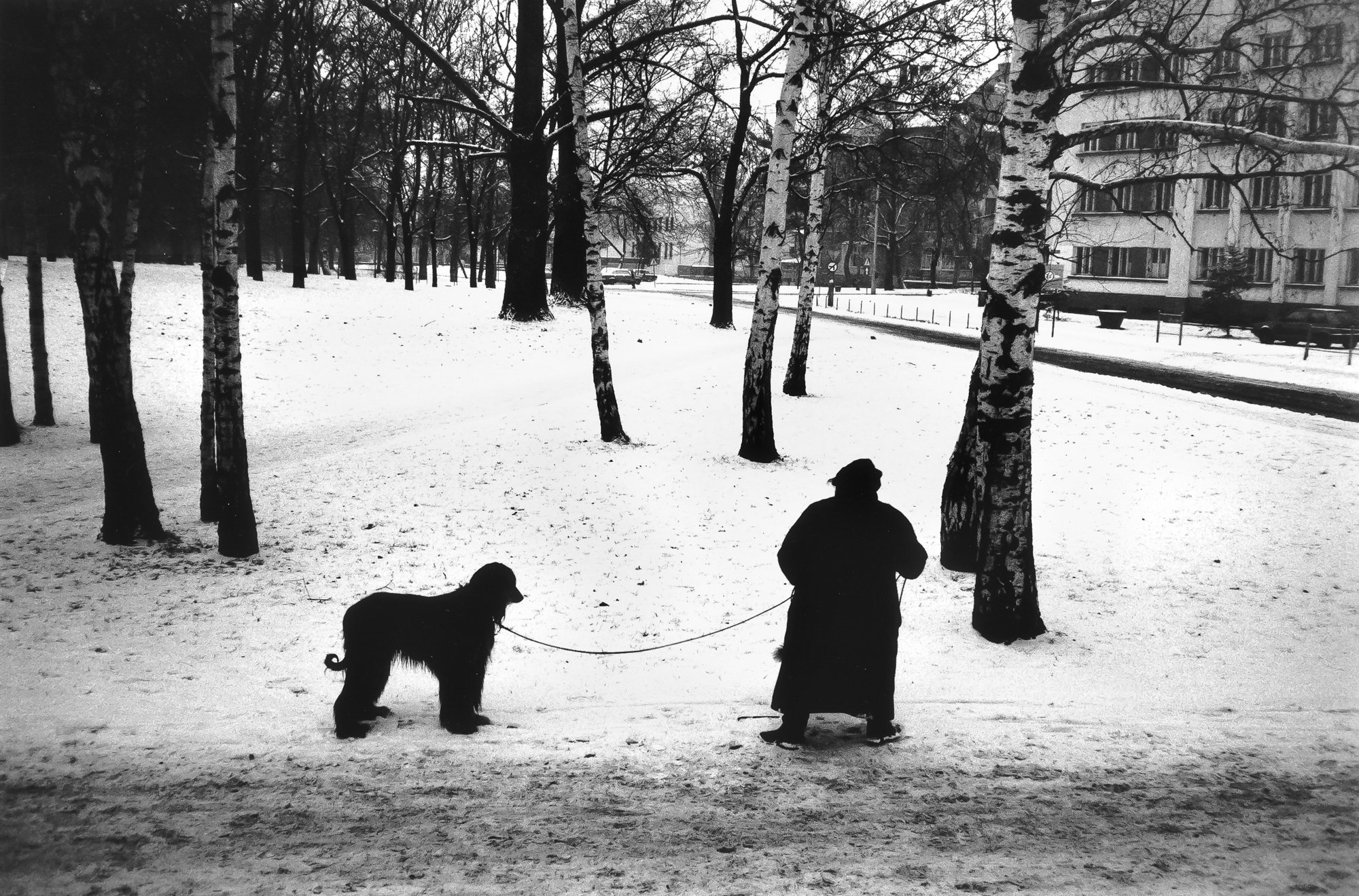 Dog+woman+snow+poland.jpeg