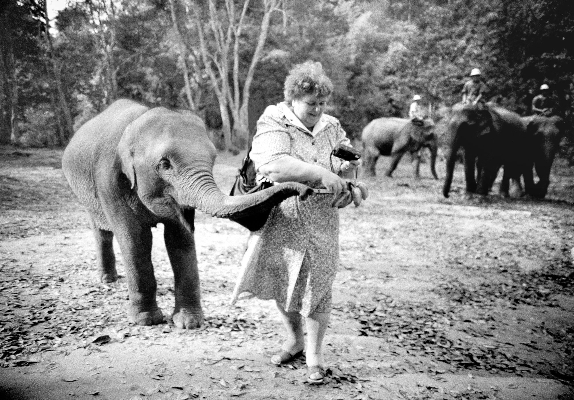 THAILAND+ELEPHANT+WOMAN.jpeg