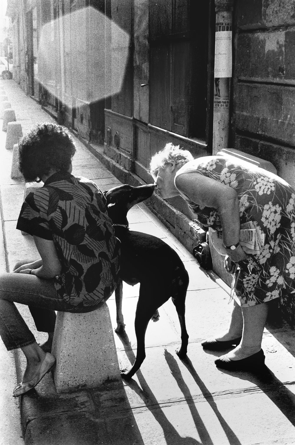 Woman+kissing+dog+Paris.jpeg