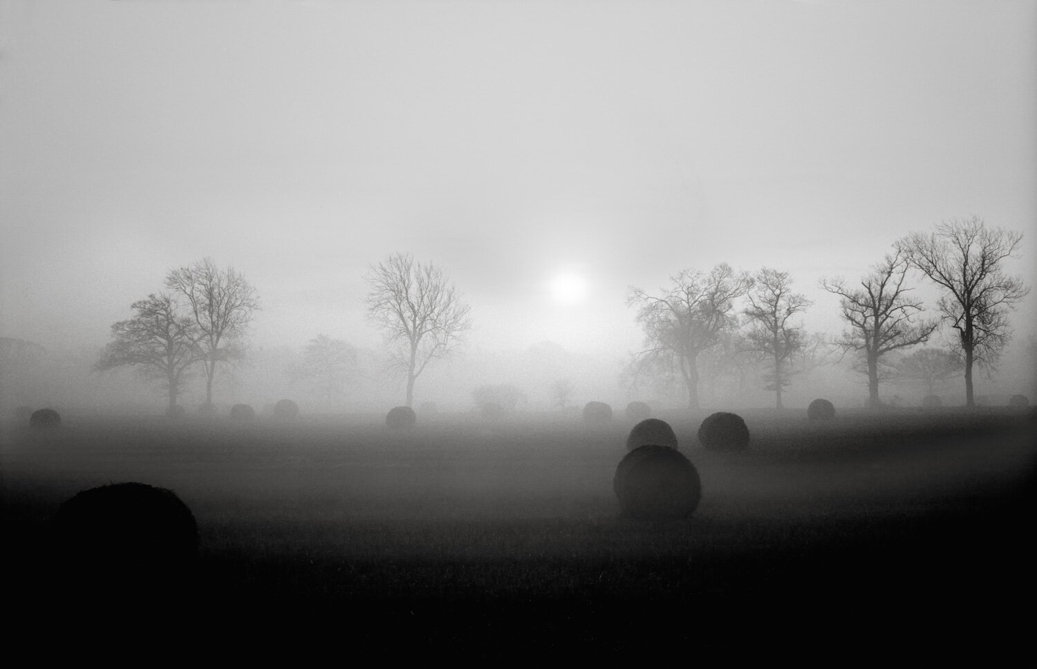 015_002_023_Land_HAY+BALES+NEW+FLAT.jpeg