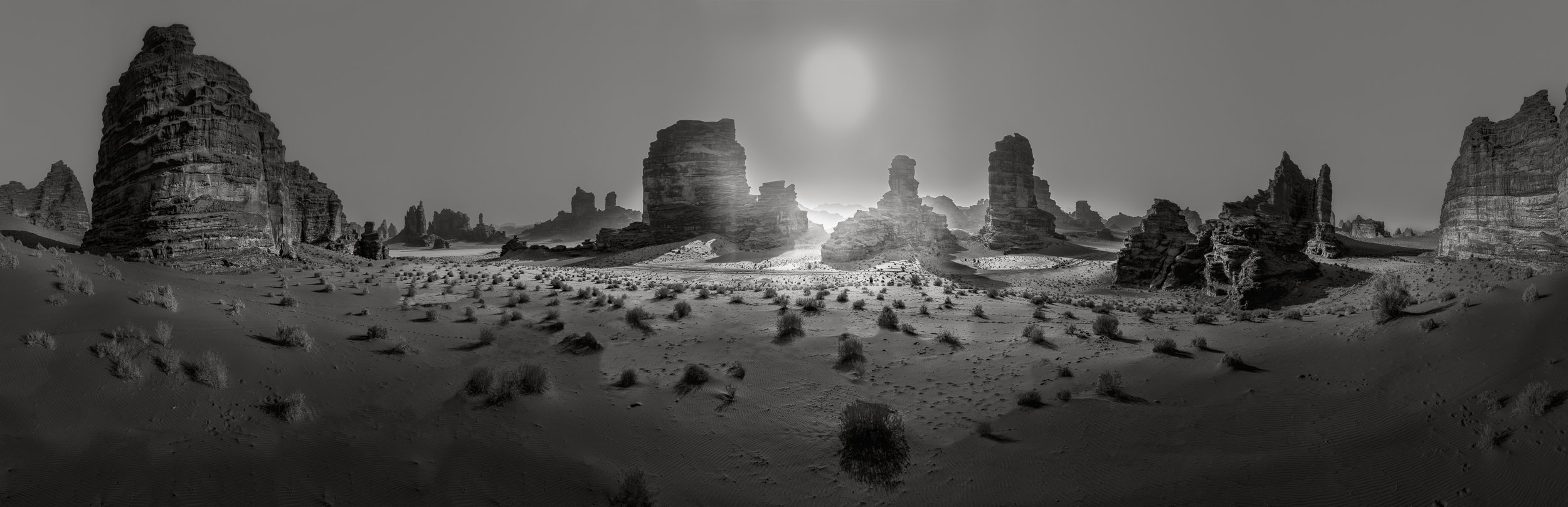 DW027_BW_lower res.jpg