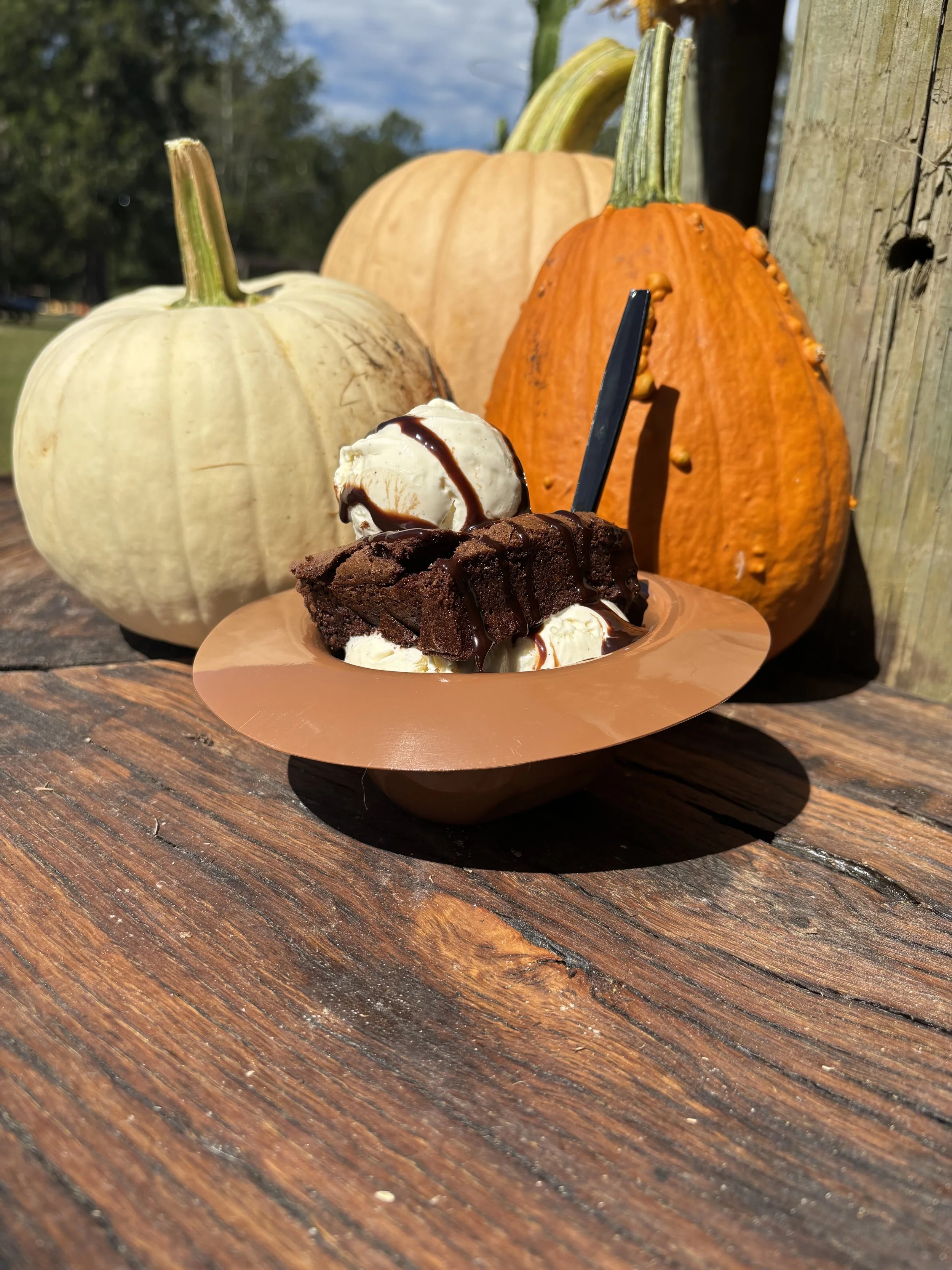 Brownie Sundae
2 scoops of vanilla bean topped with a warm brownie and another scoop of vanilla and chocolate syrup $9