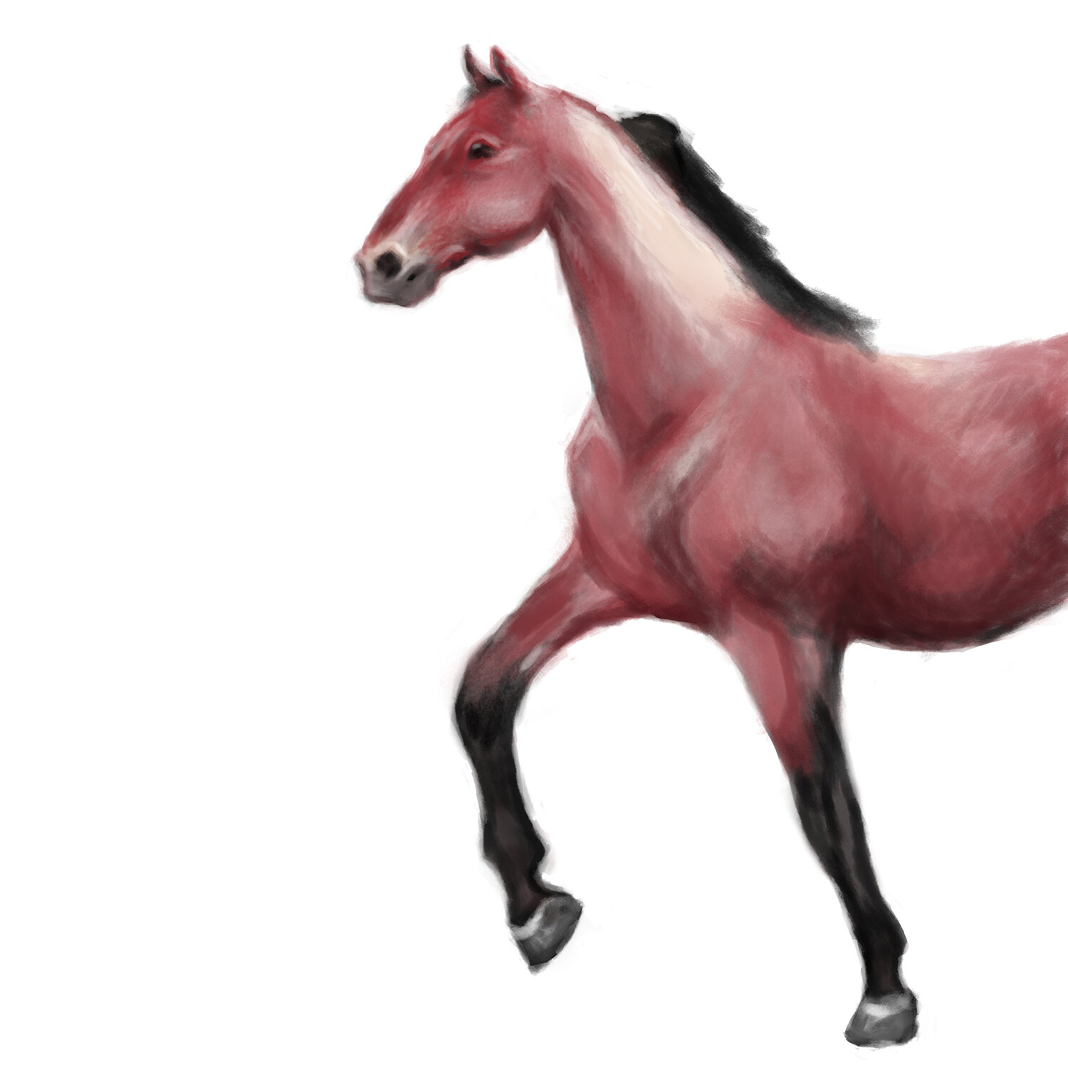gallegos_anna_horse_painting_art270_optimized.jpg