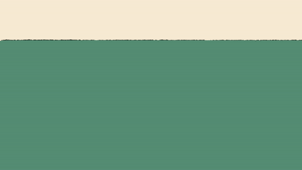 ezgif.com-video-to-gif-169.gif