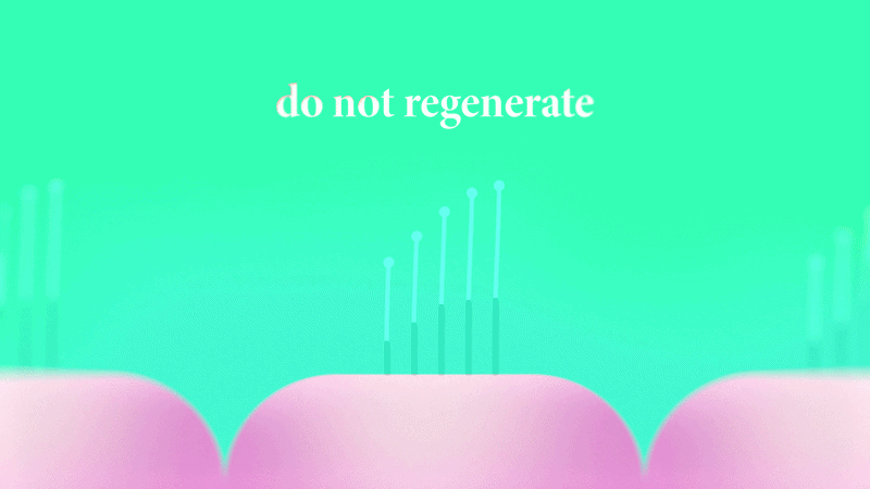 Oricula_Clinical_Female1-ezgif.com-video-to-gif-converter(3).gif
