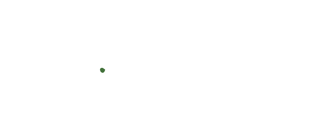 mr.zaksmith