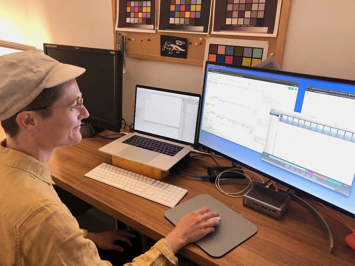 DIGITAL PRESERVATION - Caring for Digital Art Objects