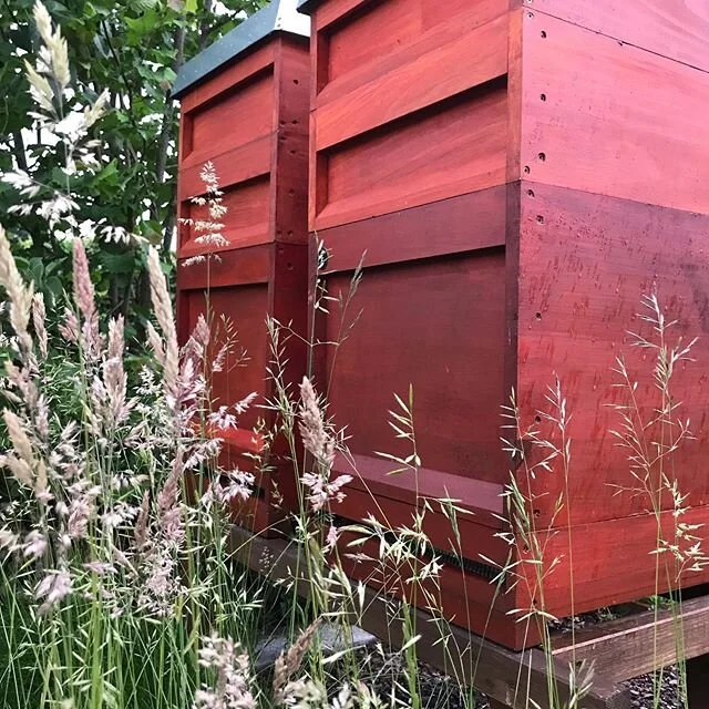 F&uuml;r uns ist es wichtig das wir in Holzbeuten Imkern und nicht in den g&auml;ngigen Styropor Beuten die irgendwann einmal Sonderm&uuml;ll werden. #herrbiene #hamburg #noplastic #keinplastik #nostyropor #holz #wood #manufaktur #holzhandwerk #welov