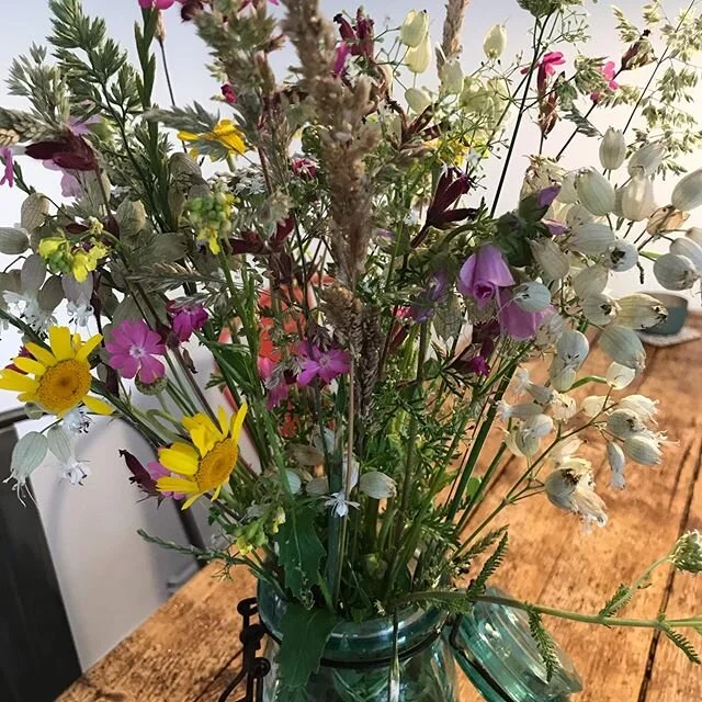 Ab und zu stibitzen wir unseren Bienen ein paar Blumen unserer Wildblumenwiese 😬😅❤️🐝 Genau diese Mischung mit heimischen Pflanzen bekommt ihr unter herrbiene.de 😉#herrbiene #hamburg #wildblumenwiese #bl&uuml;hwiese #bienenweide #regional #bienen 