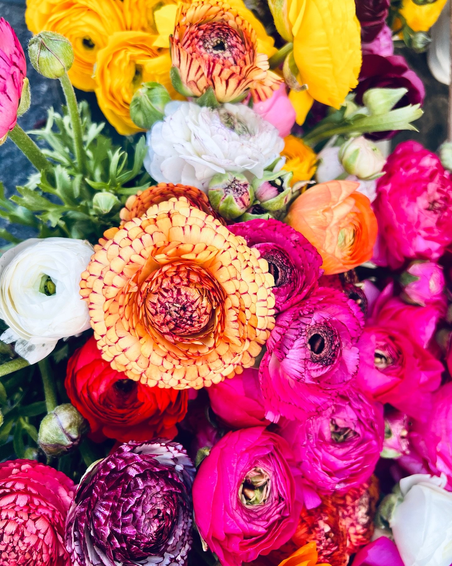 🌸 Spring is here, and with it comes the vibrant energy of local farmers&rsquo; markets! At LINKA Jewelry, we&rsquo;re proud to be among the many small businesses owned by inspiring women. 💪 Join us this week at one of our LINKA Pop Up Shops and exp