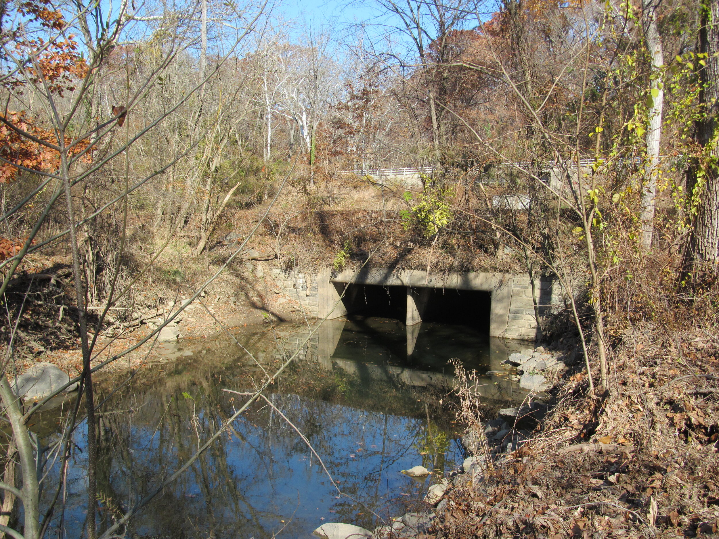 Little Falls flowing under the canal.JPG