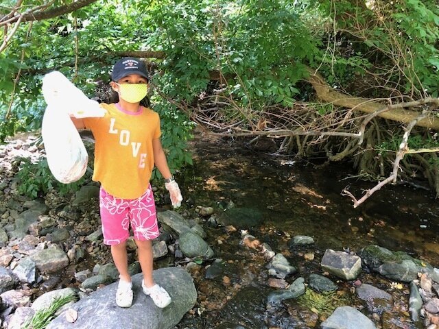 Individual Trash Clean-up