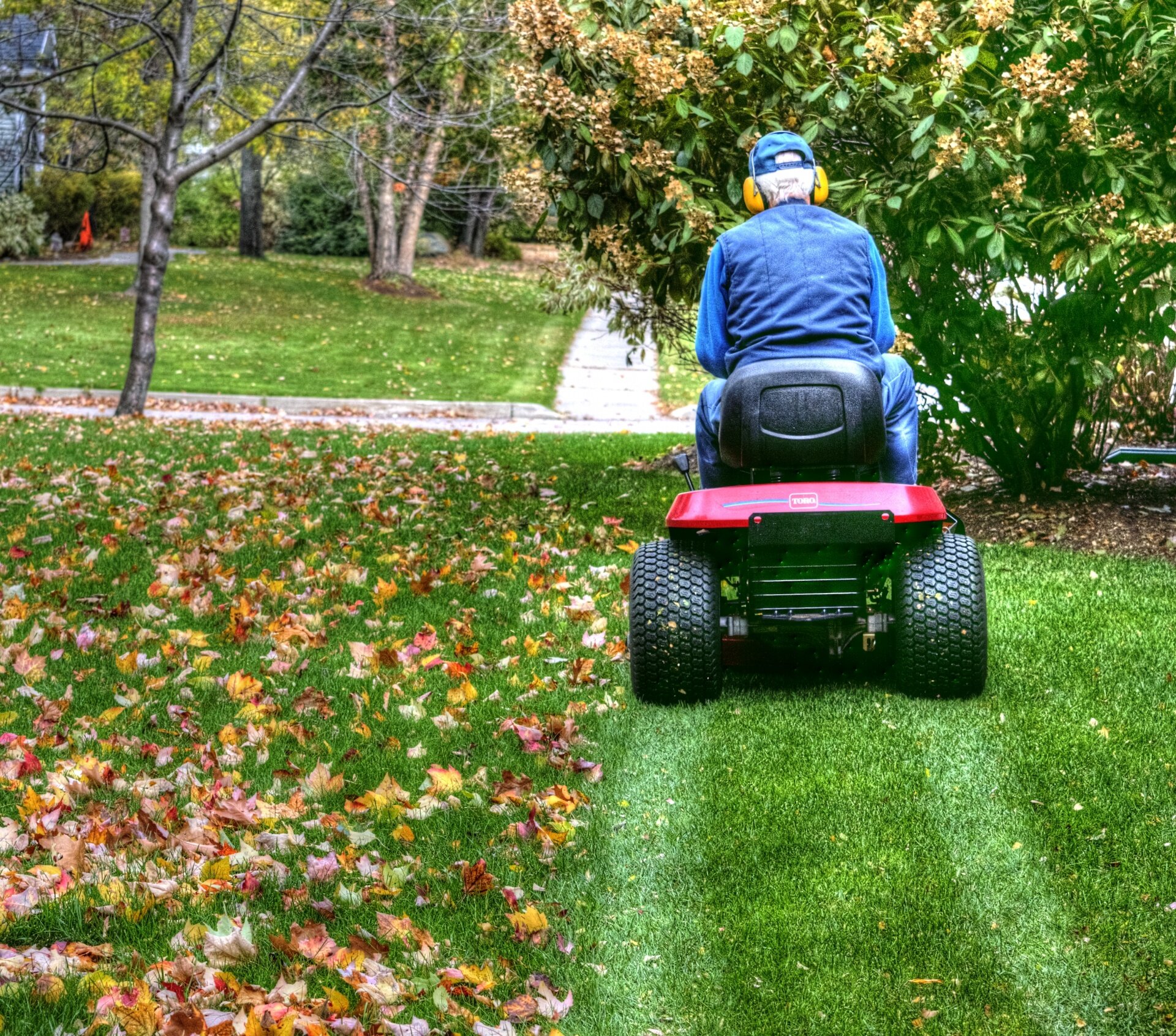 Pesky Leaves on Your Perfect Lawn? We've Got You Covered - Chesapeake Bay  Foundation
