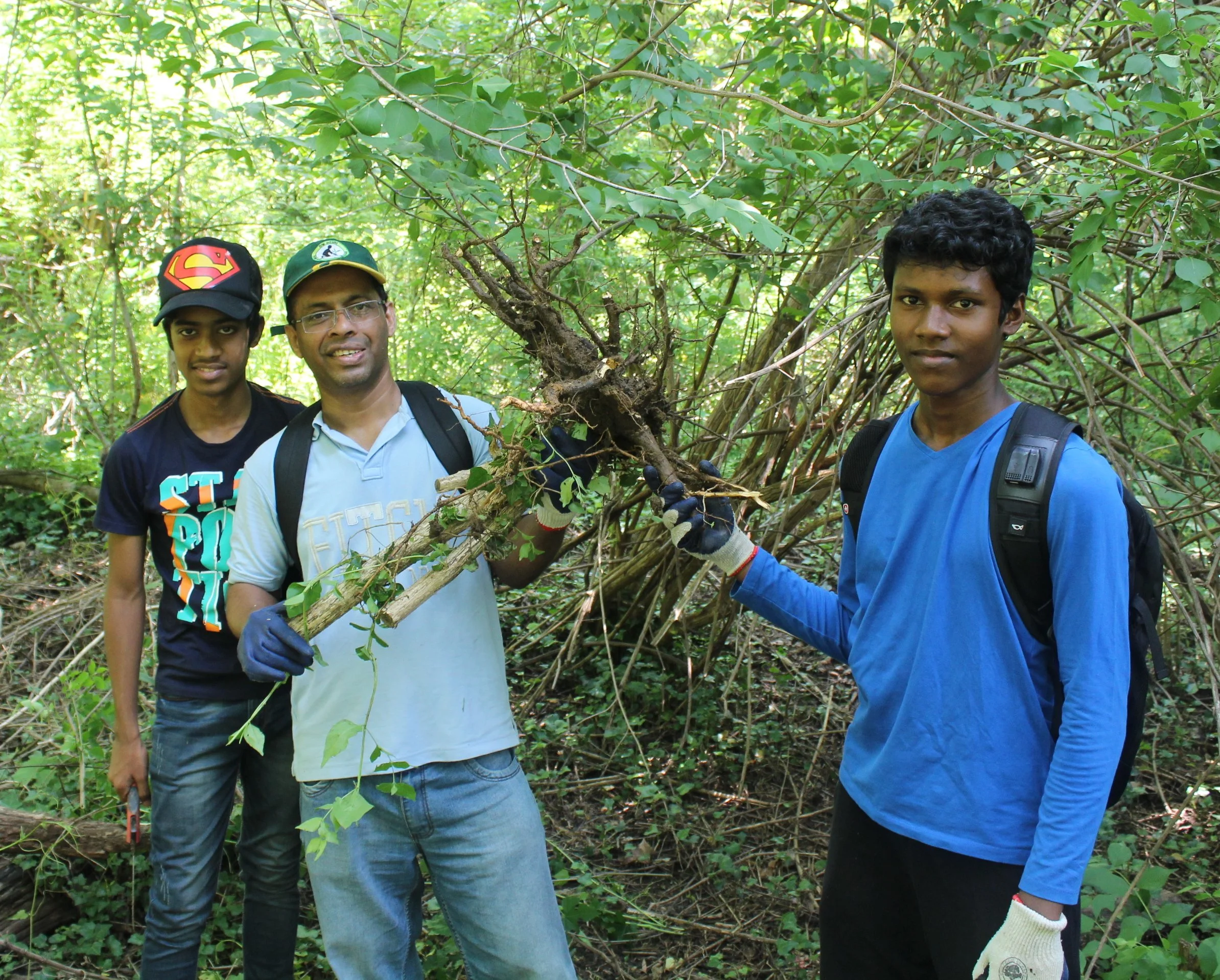Free the Trees on Little Falls Parkway