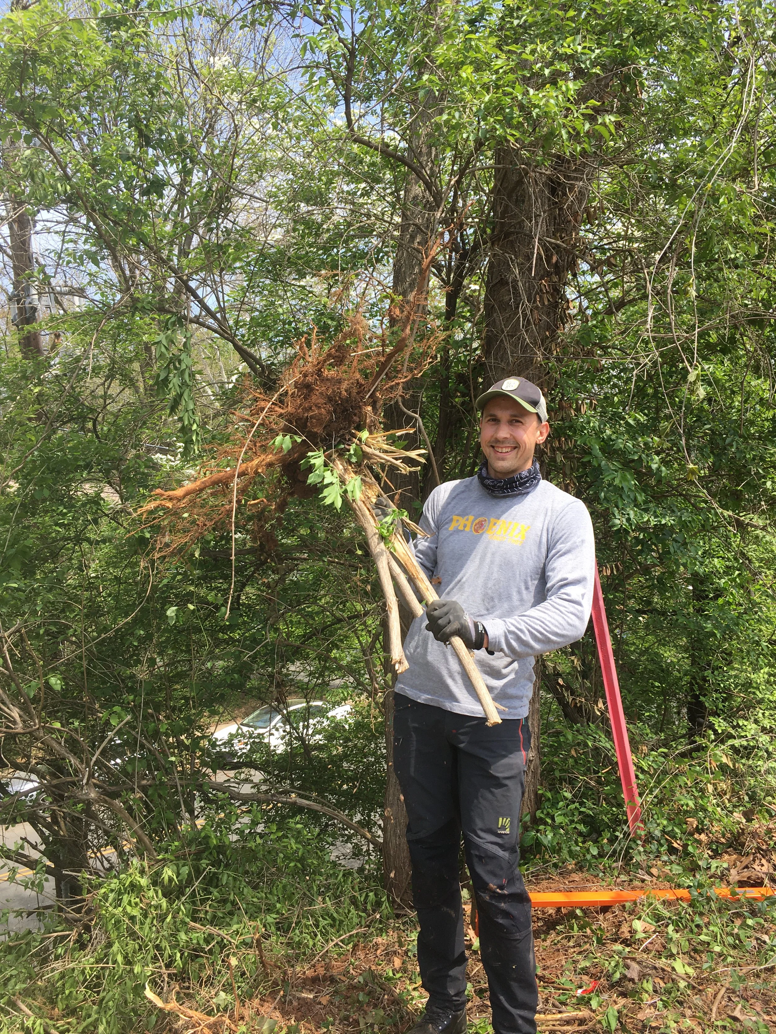 CANCELED - Free the Trees at Bannockburn ES 