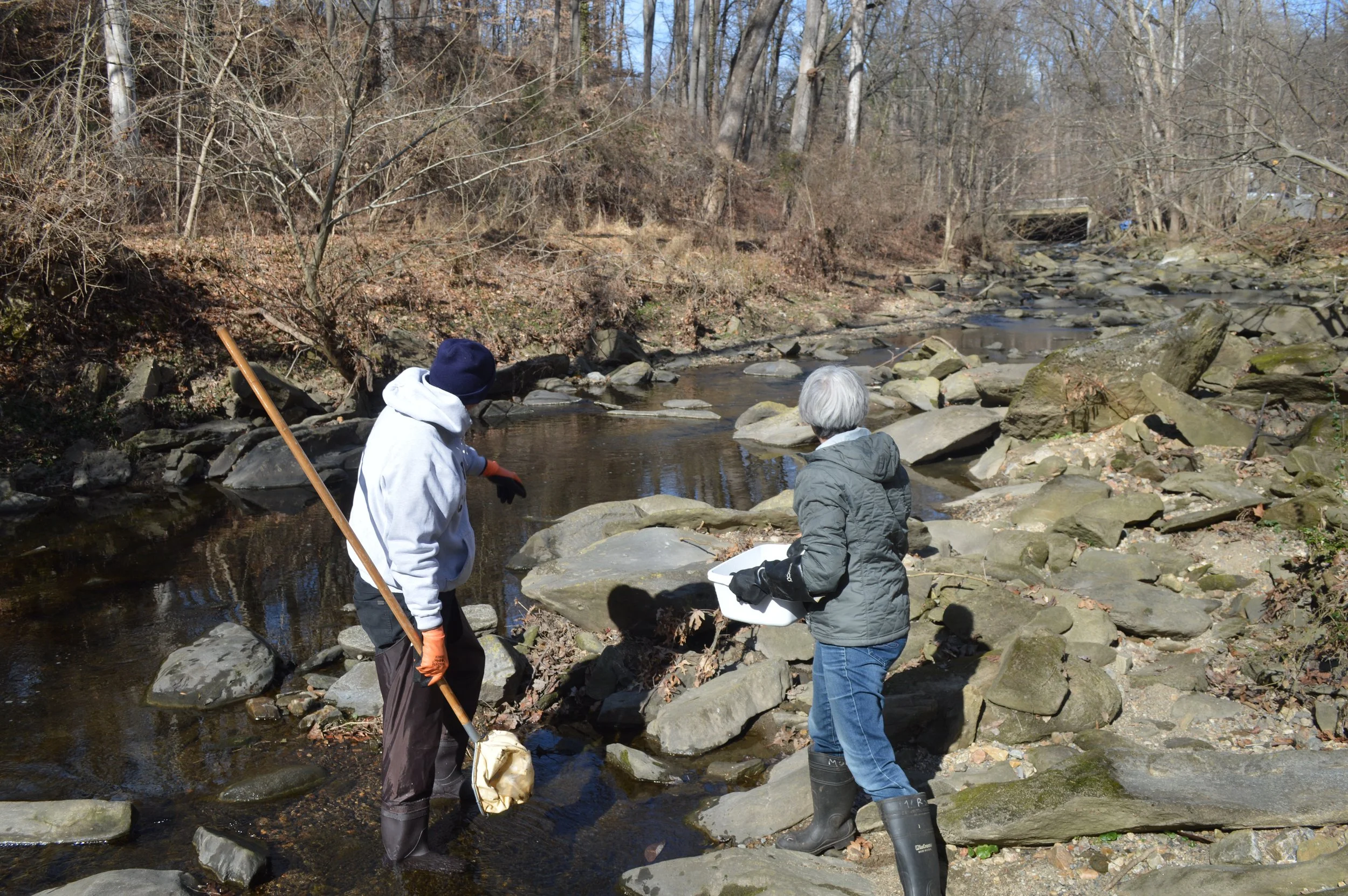 Winter Stream Monitoring 
