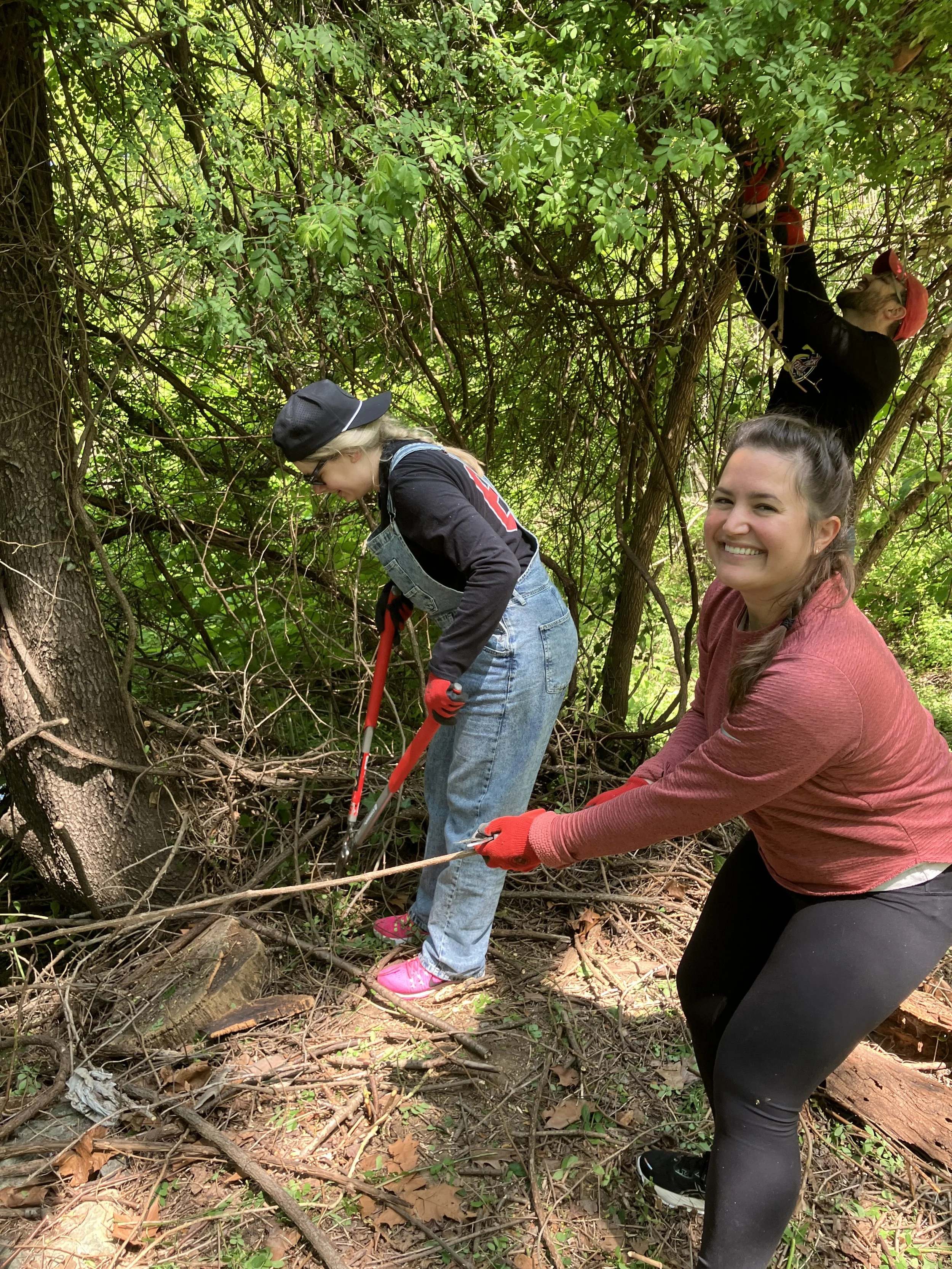 Free the Trees, Glen Echo Park 