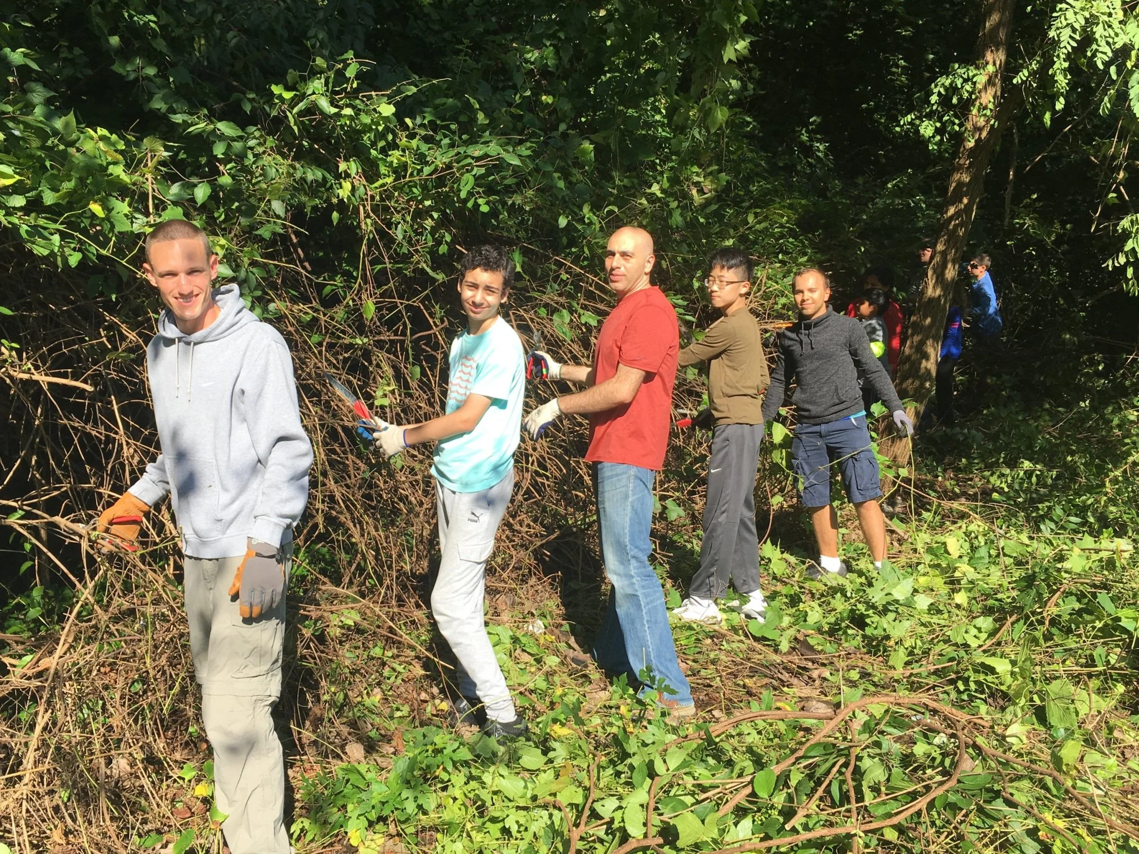 Free the Trees along Massachusetts Avenue  