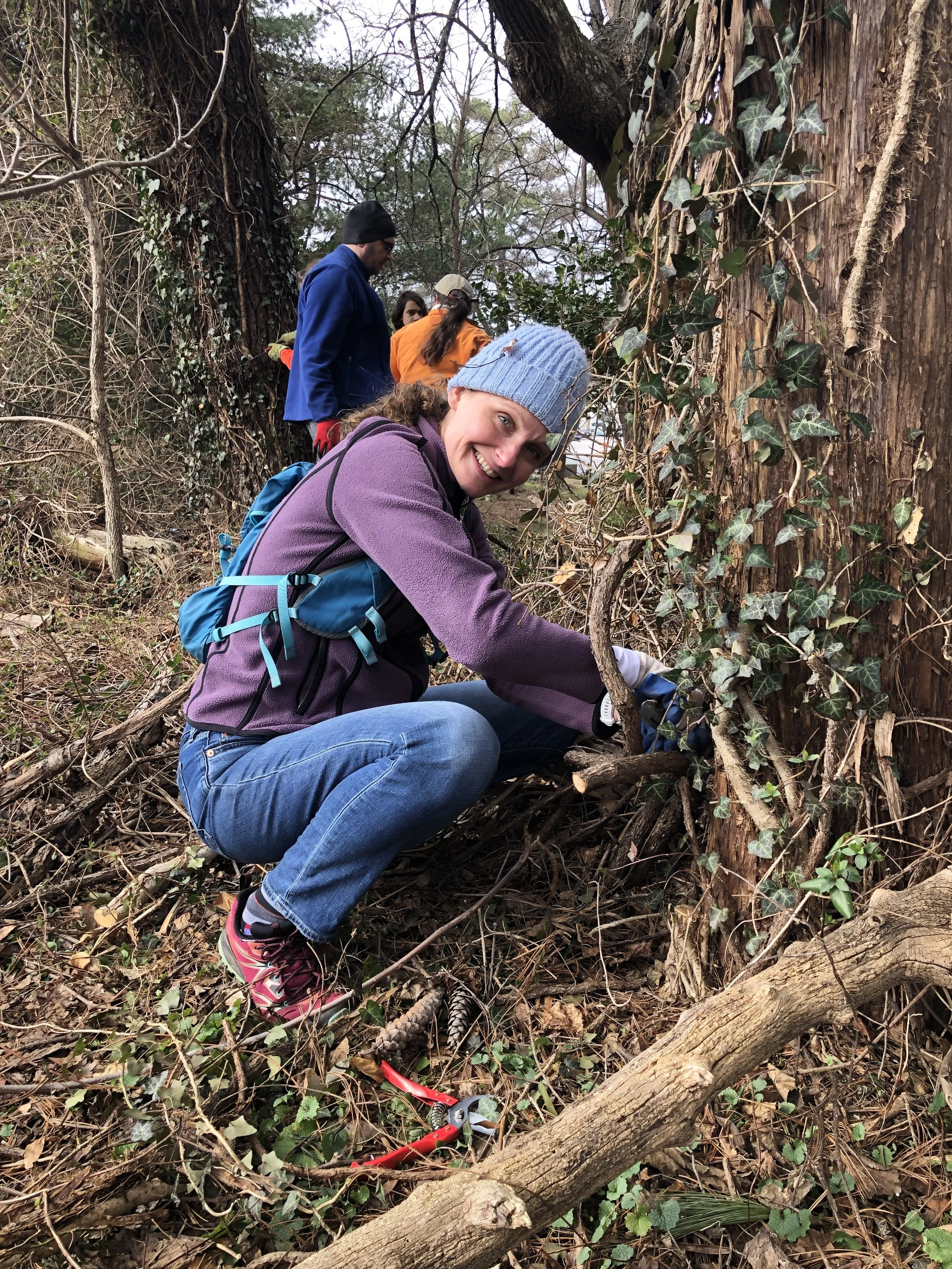 Free Trees @ Willard Avenue Neighborhood Park