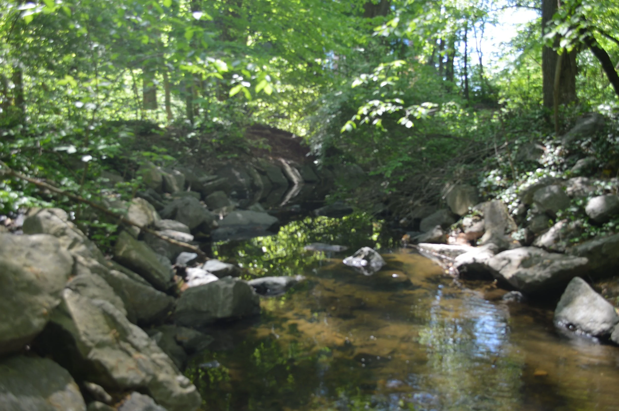 Little Falls Creek Hike