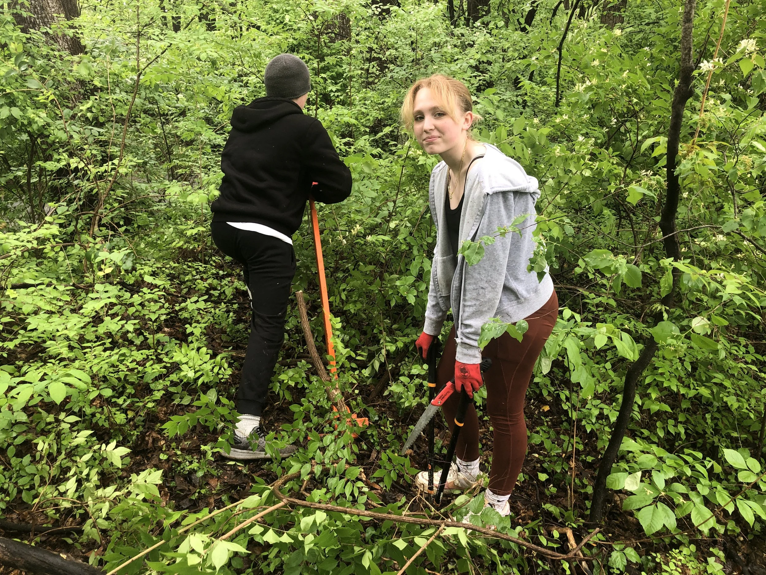 CANCELLED: Weed Warrioring  Capital Crescent Trail @ Little Falls Parkway