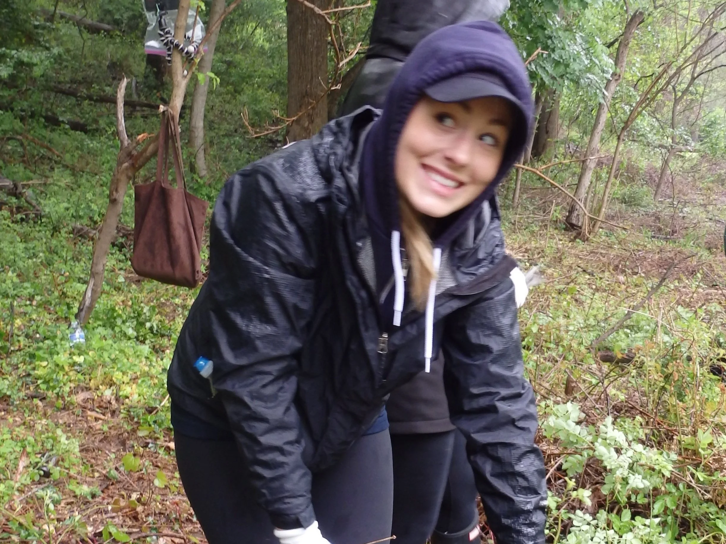 Free Trees @ Willard Avenue Neighborhood Park