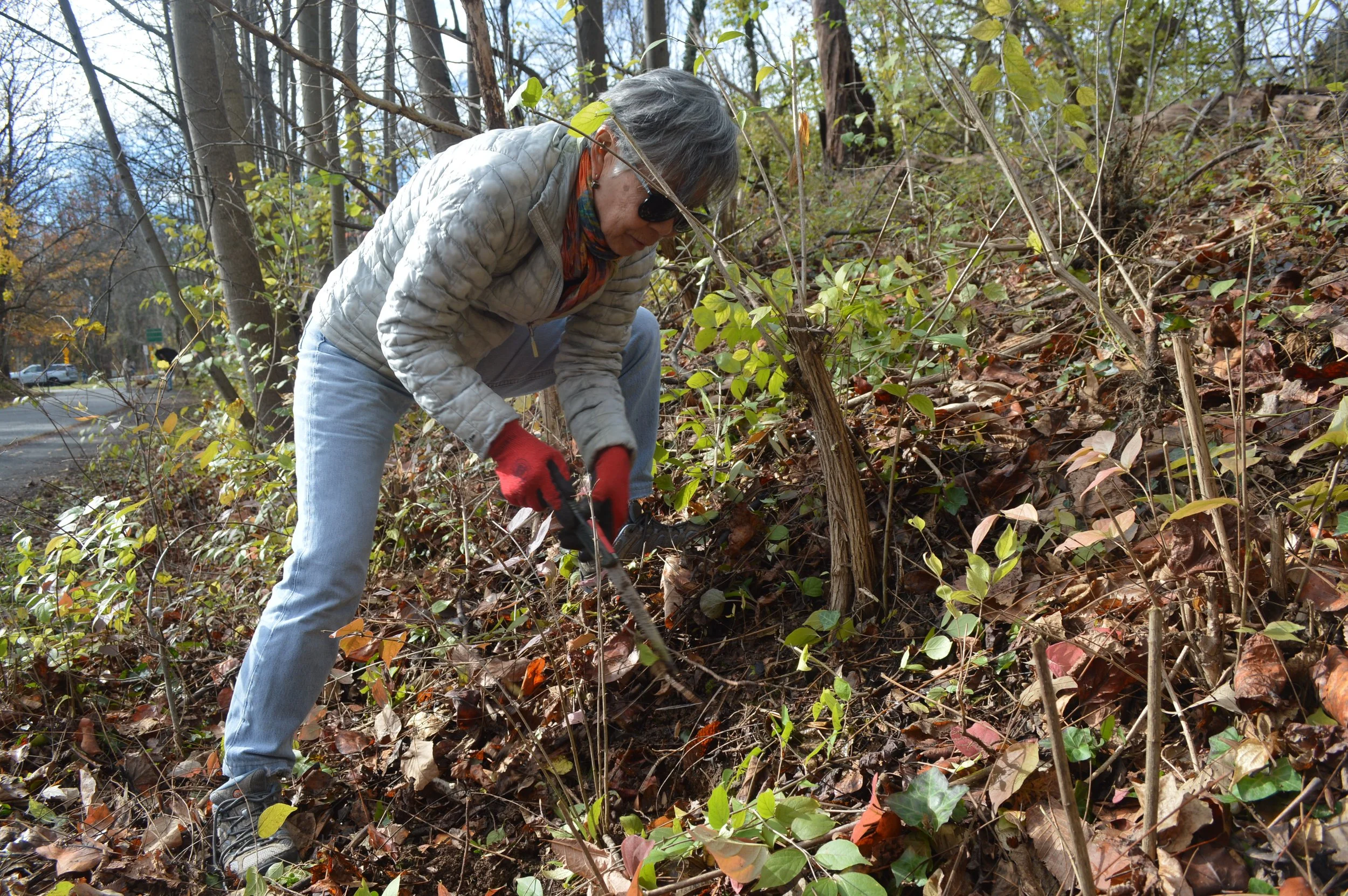 Falmouth Road Restoration Project