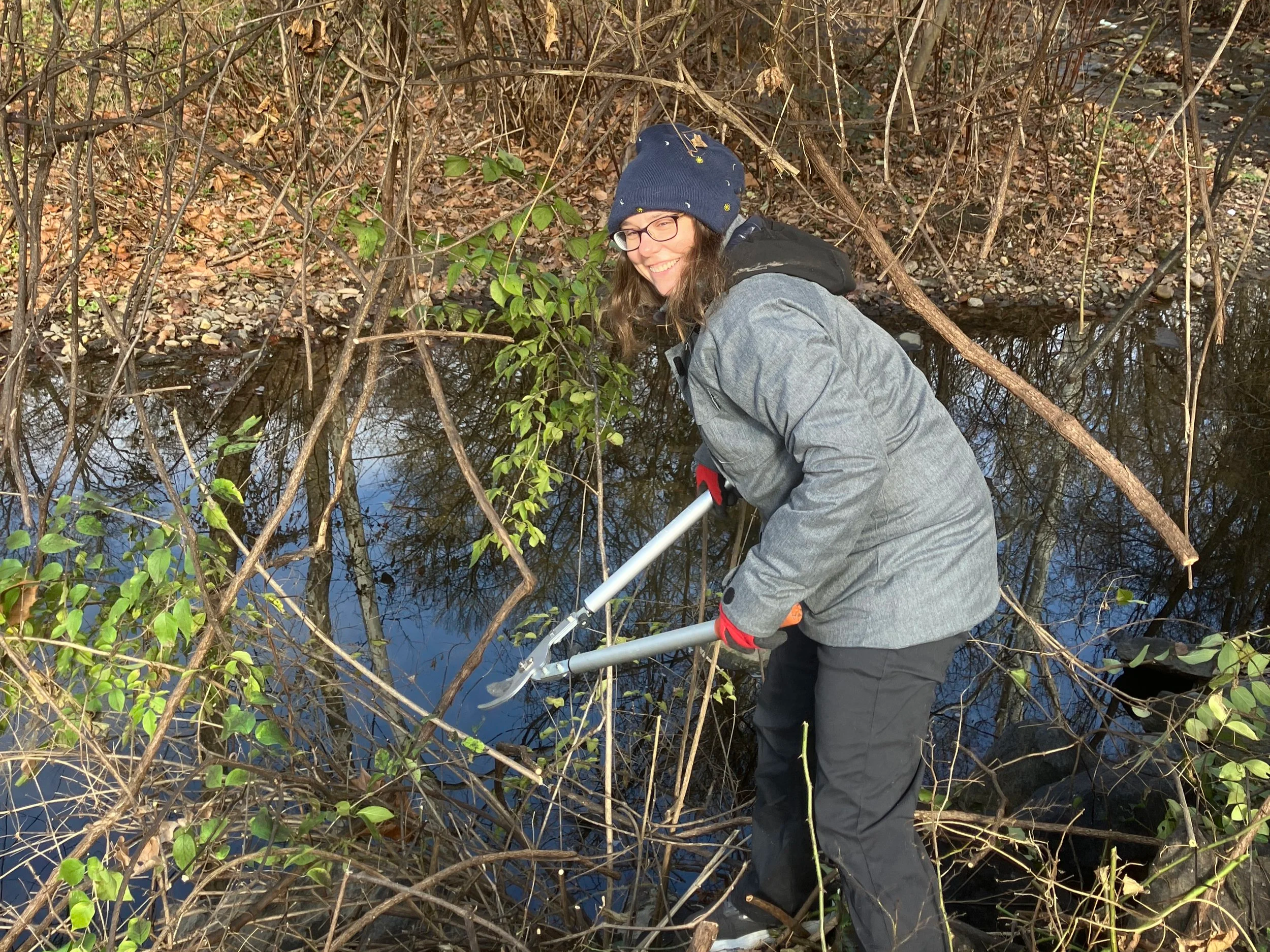 Free Trees at the Capital Crescent Trail @ Dorset