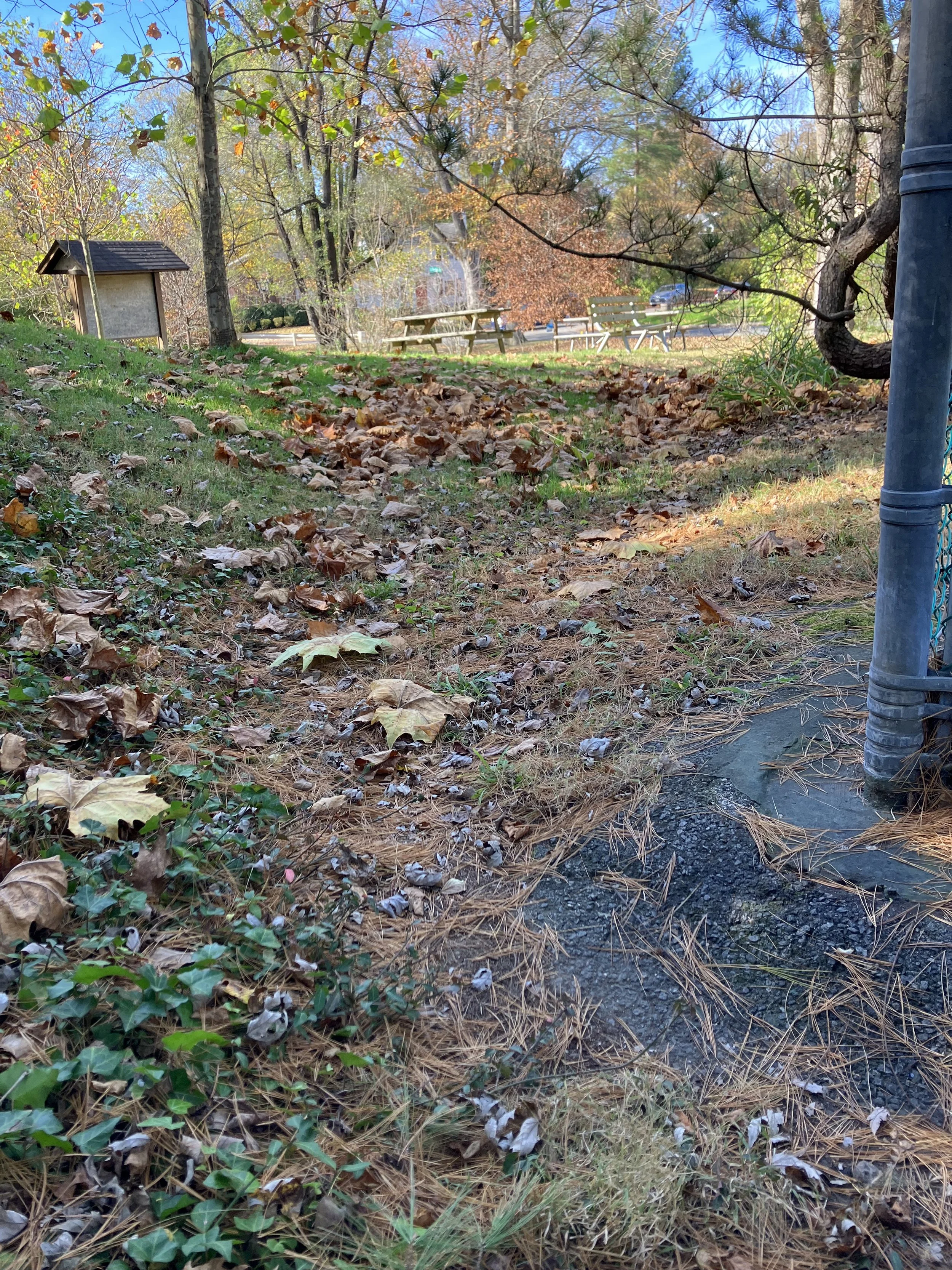 Little Falls Swim Club Conservation Landscaping — Little Falls ...