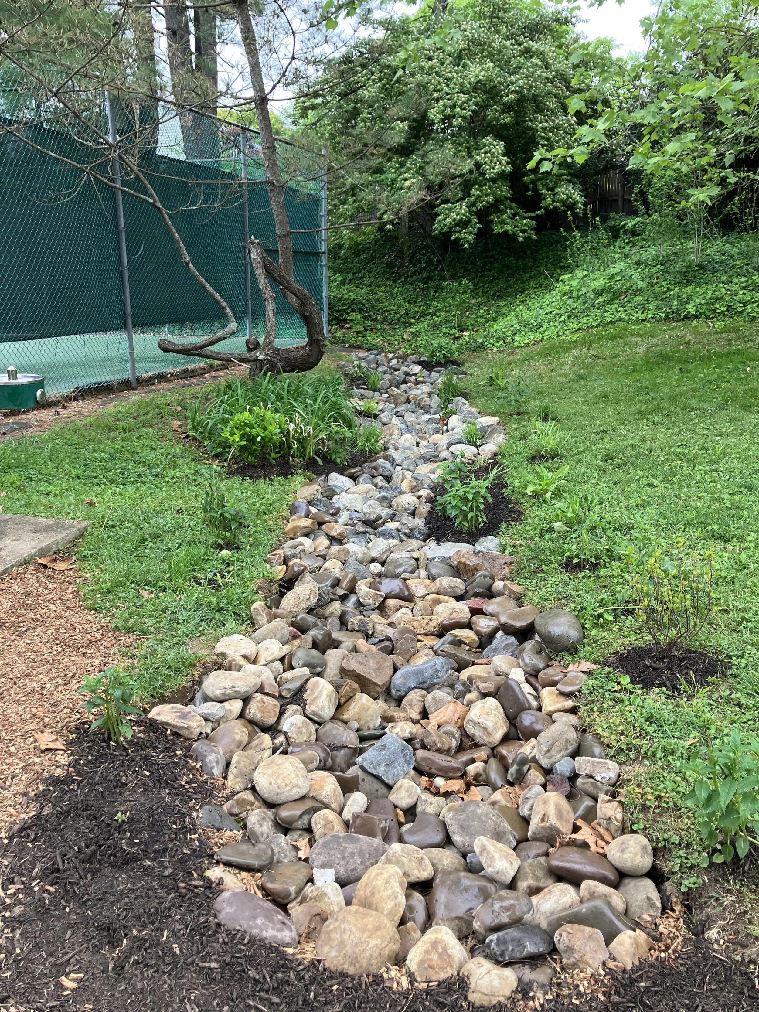 Show and Tell - Conservation Landscaping for Little Falls Swim Club