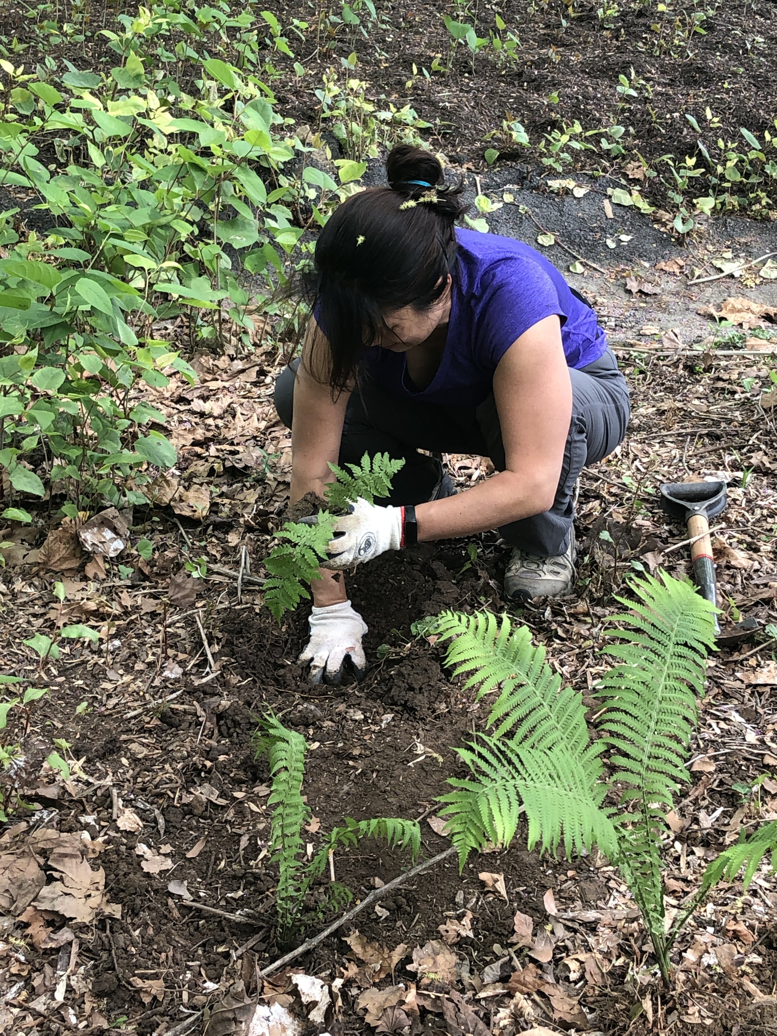 Green Acres Planting Day