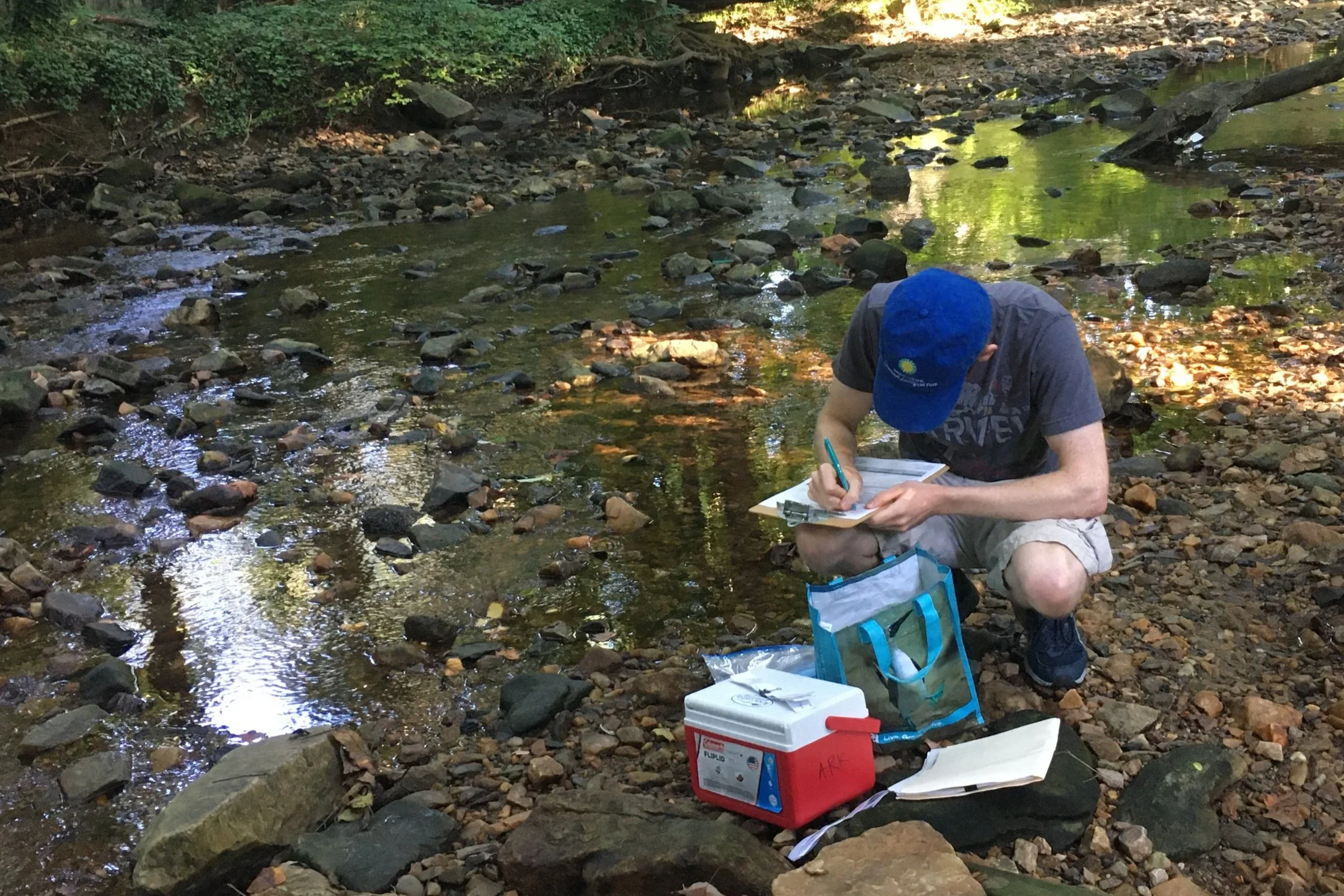 Report Concludes Area Streams have a Serious Fecal Bacteria Problem ...