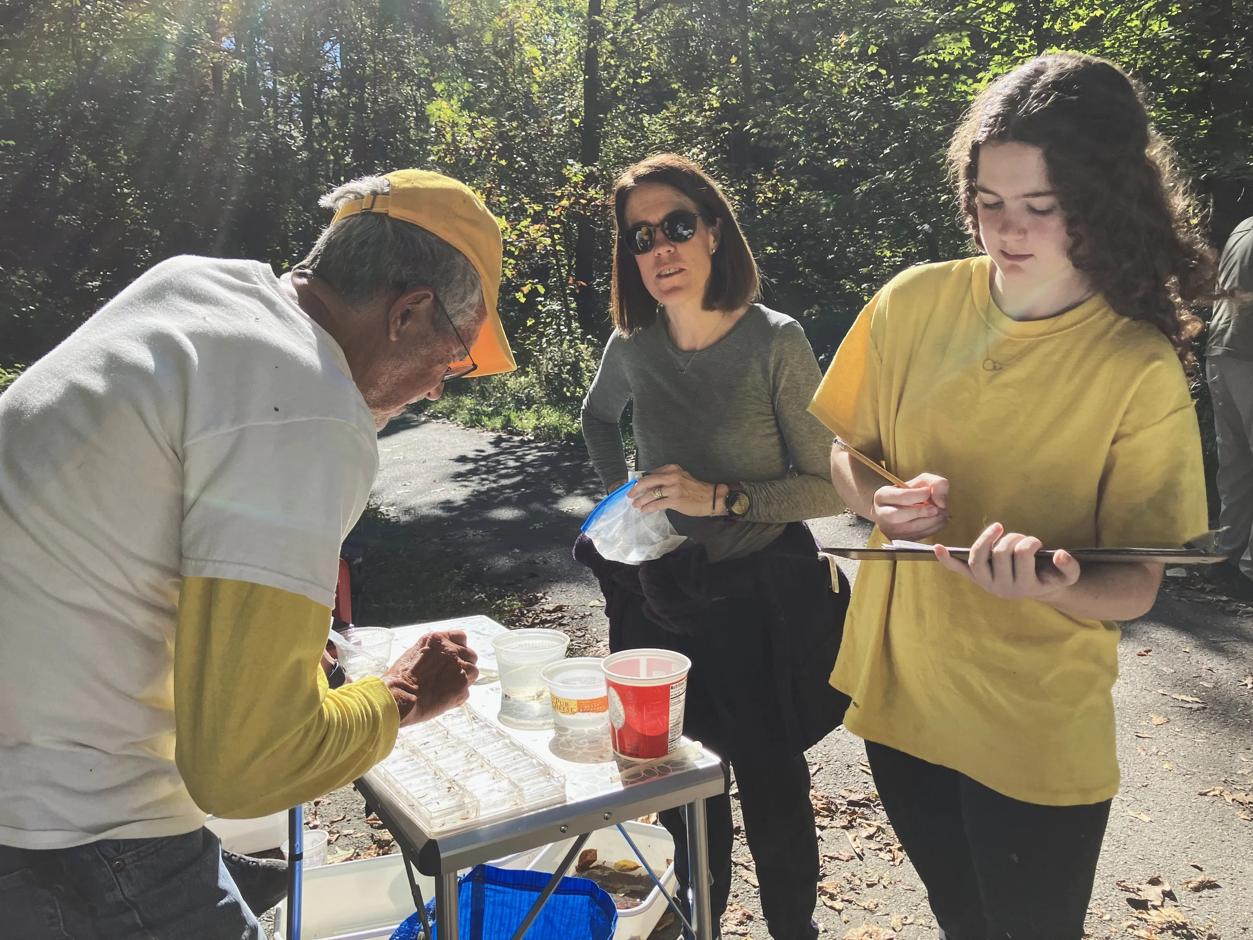 frank emily averill.JPG