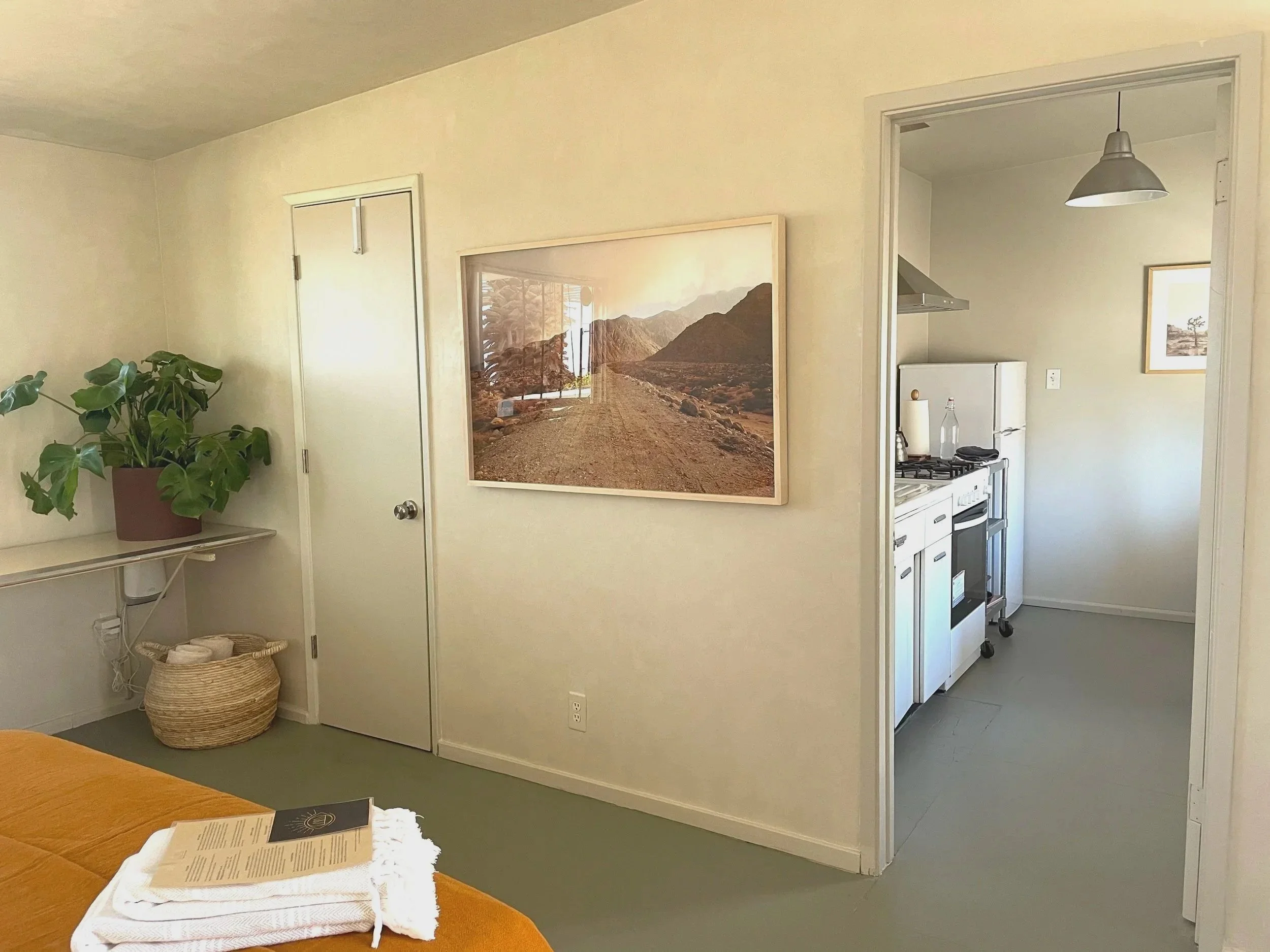 Interior view of a living space with a door, a large landscape photograph on the wall, a potted plant on a shelf, and a glimpse into a small kitchen with a stove and refrigerator.