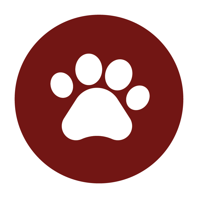 Four-legged family members are welcome at our hotel