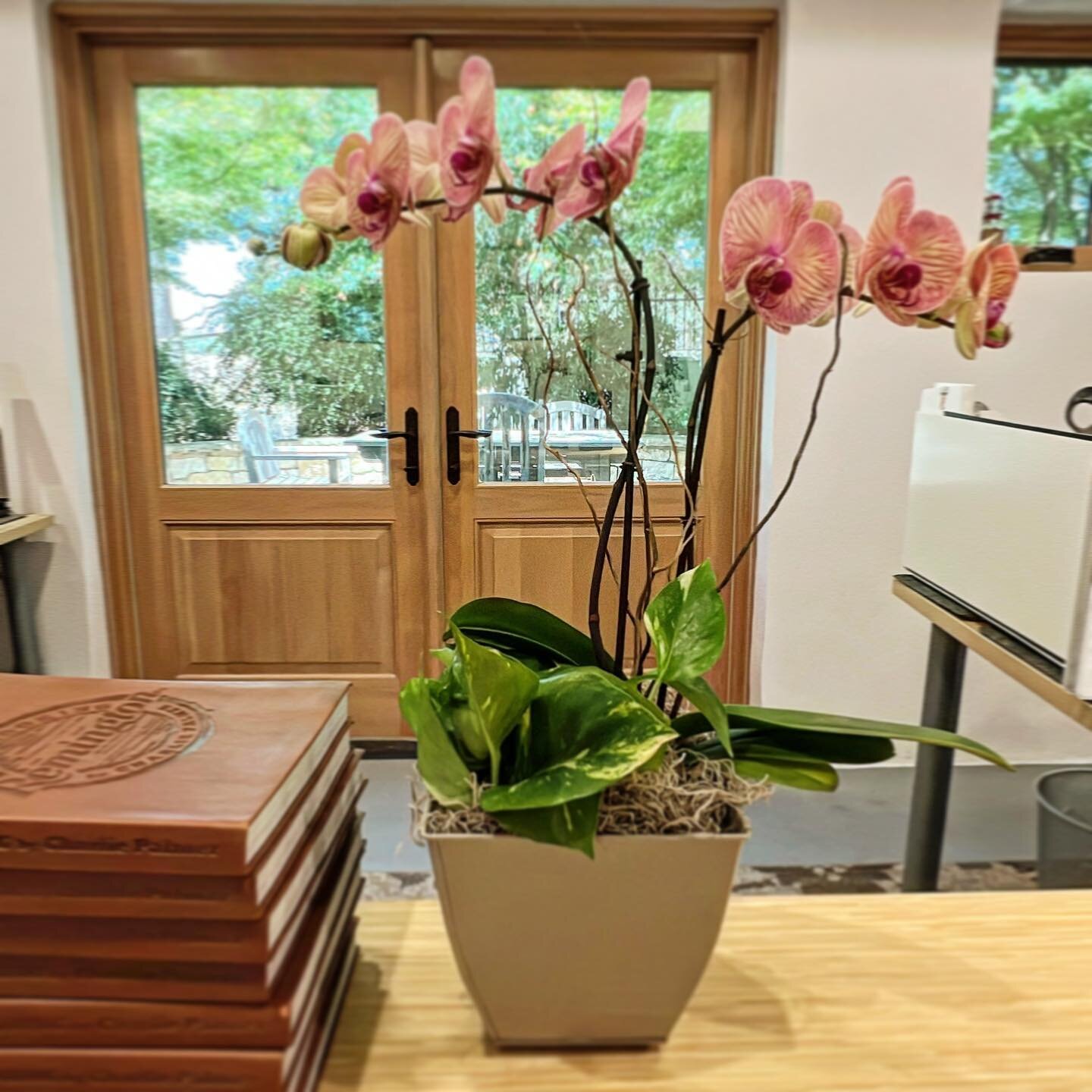 I just received these beautiful orchids for simply being fabulous!
Thank you @sheilaluxeplaces for the gift and for also being fabulous!

#gratitude #orchids #hospitality #sonomacounty