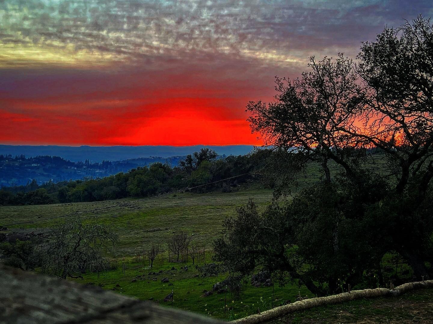 Sonoma county sunset in January.

#sonomacounty #santarosa #whywelivehere #nofilter #latergram